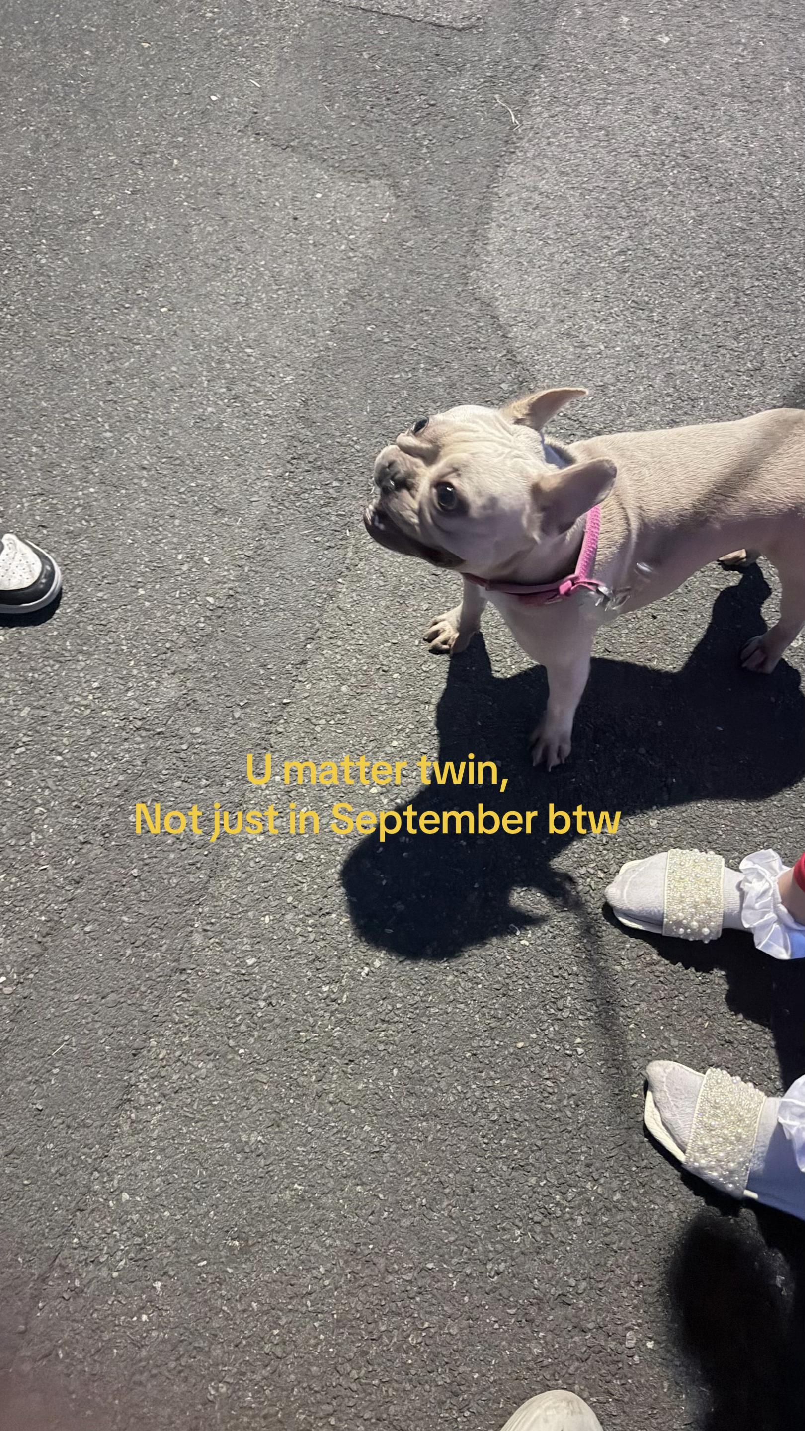 @G🏴🎧