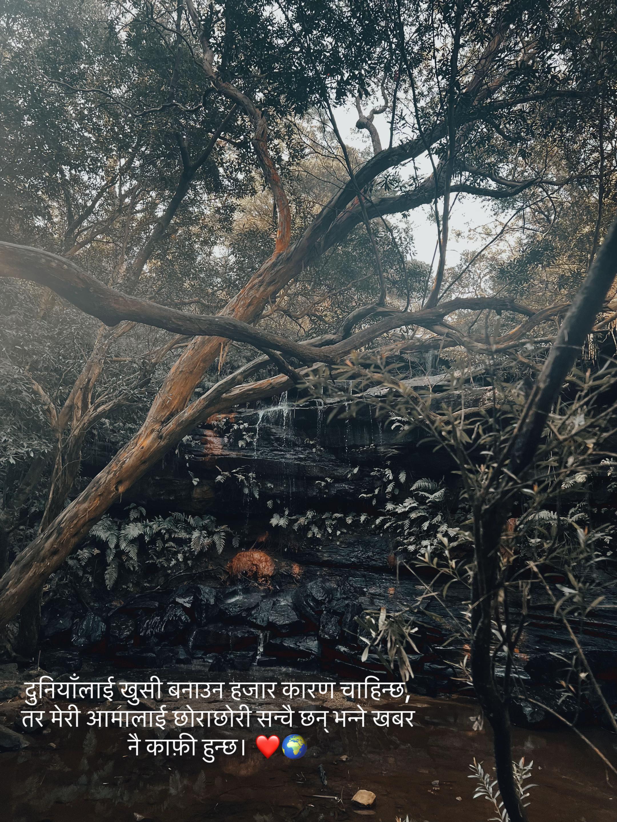 @mankakura