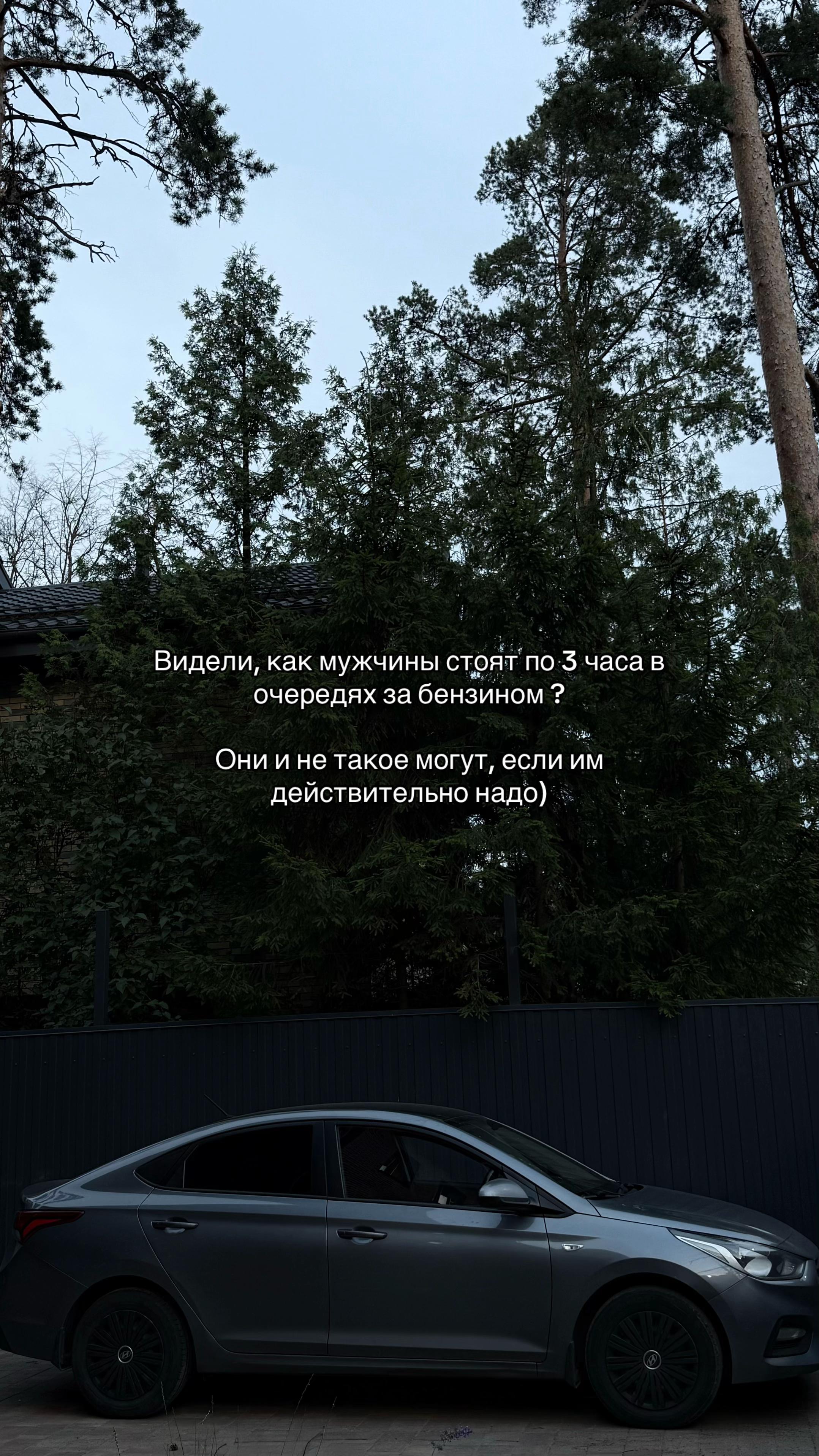 @тгк:ангелинчик🎀