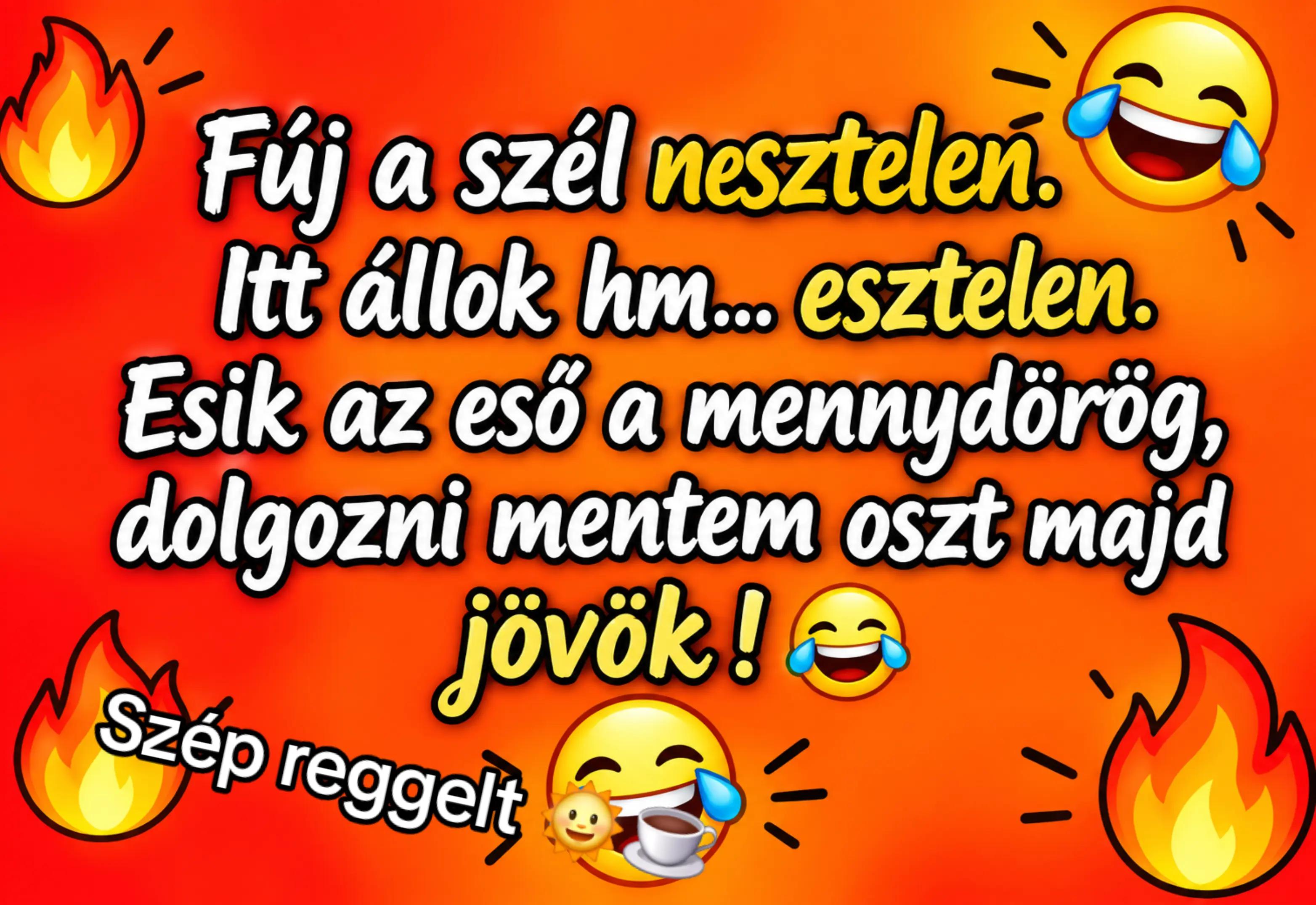 @👑Picisárika👑