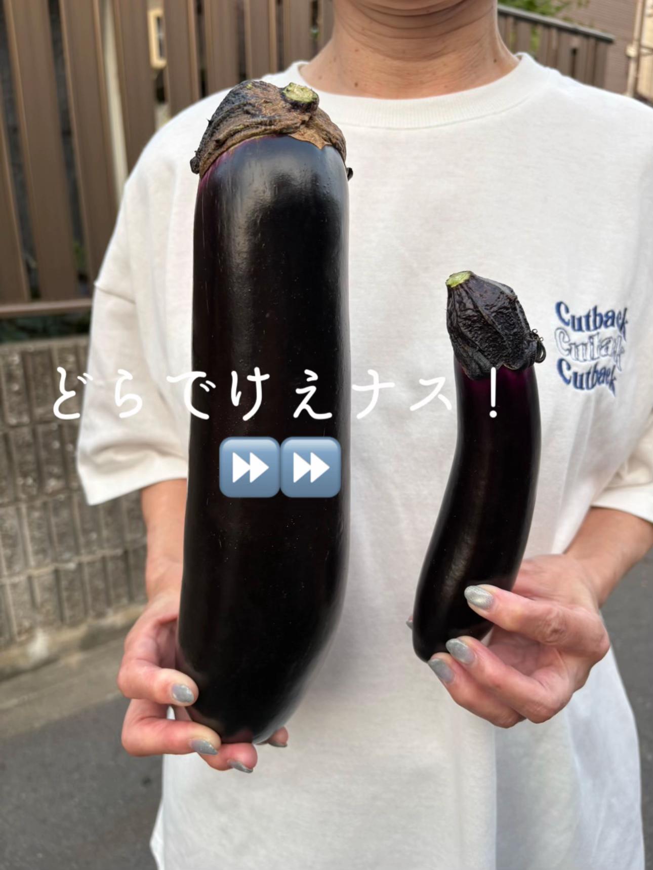 @名古屋の脳筋大学生