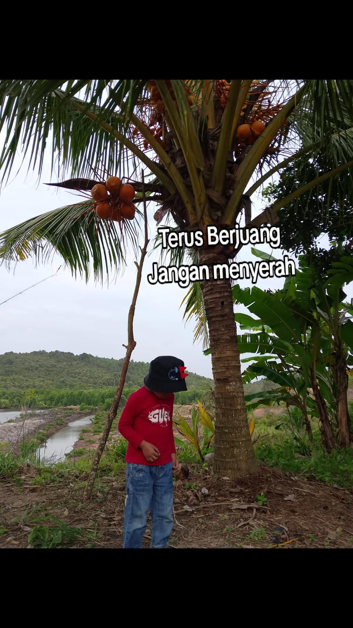 @AtQari Hidayat
