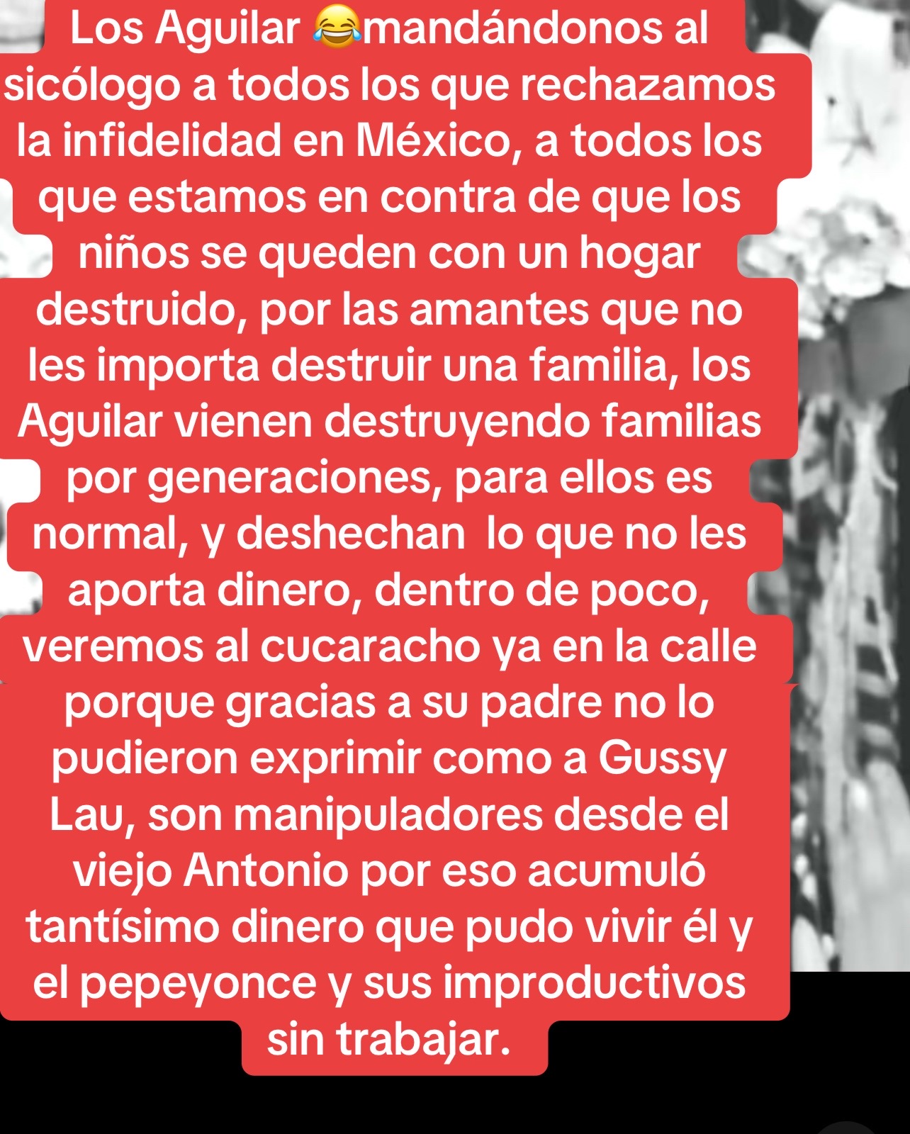 @Violeta Flor