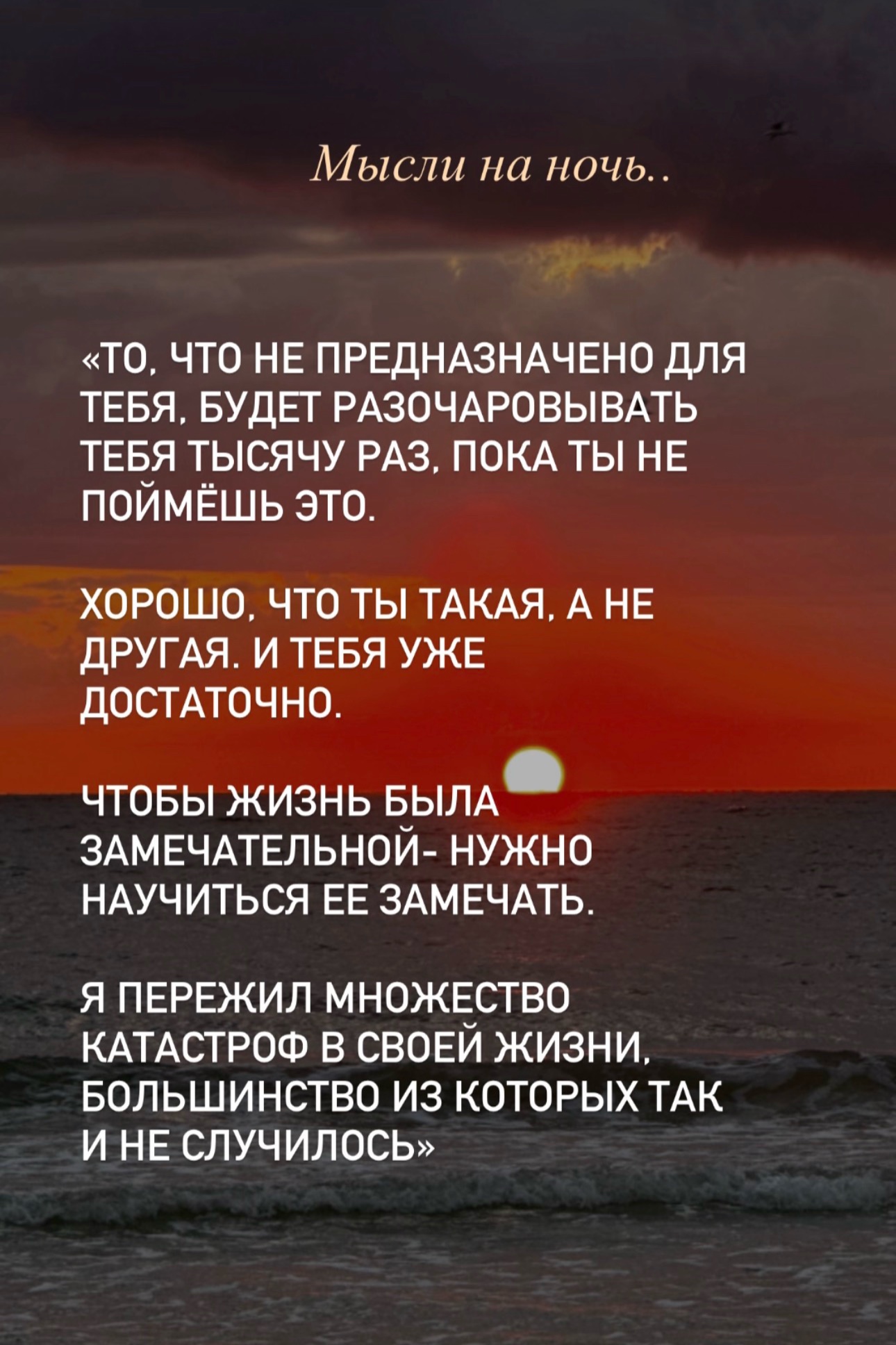 @svetlana_konovalov