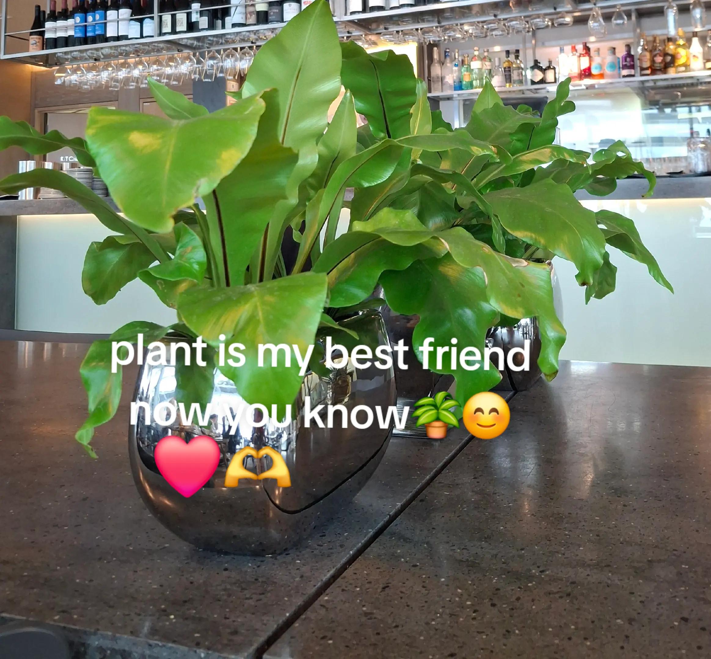 @lolagrams_05