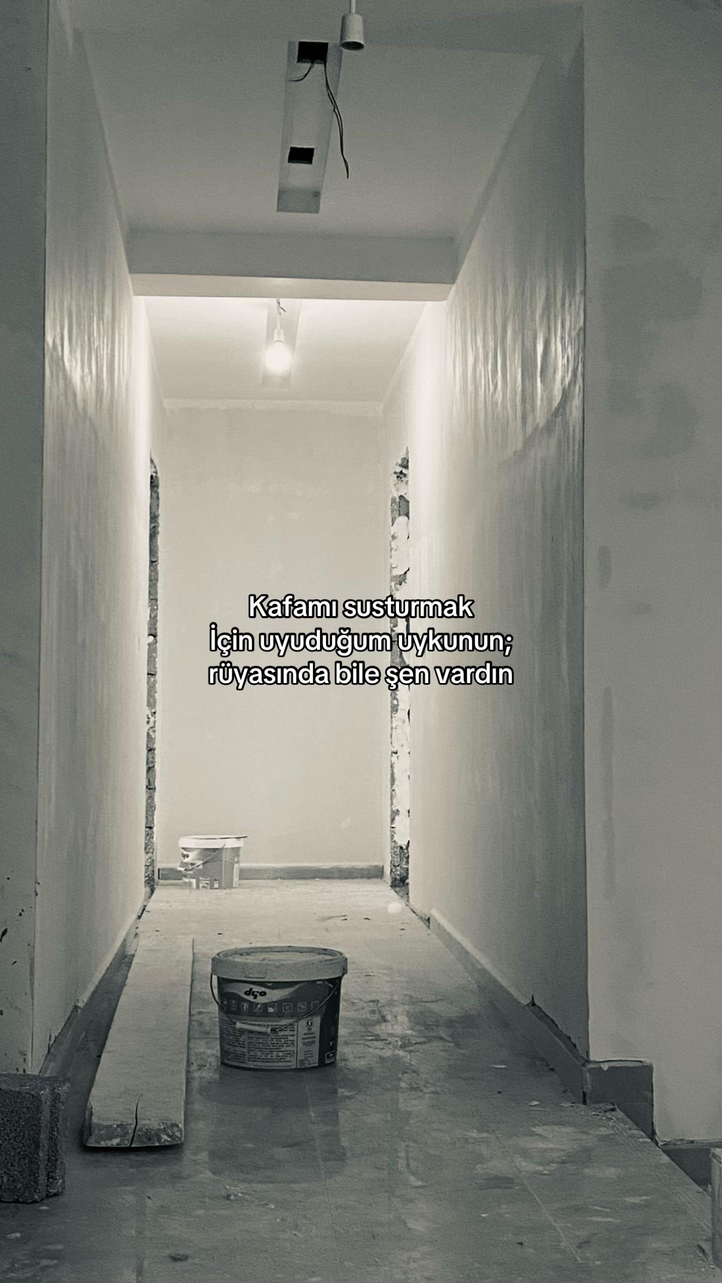 @🕊️