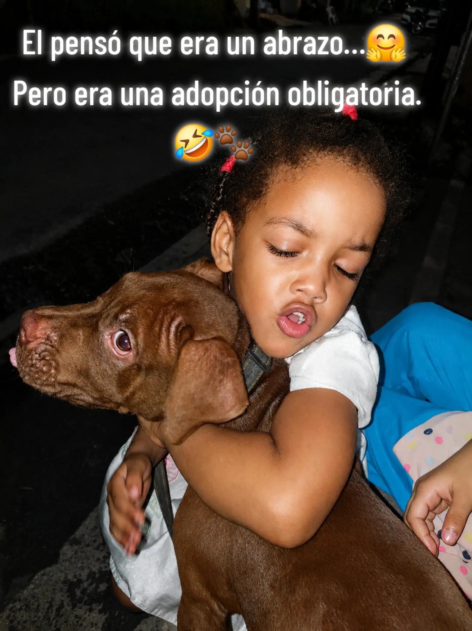 @Luisanny Calder&oacute;n 👩&zwj;⚖️👩&zwj;⚖️