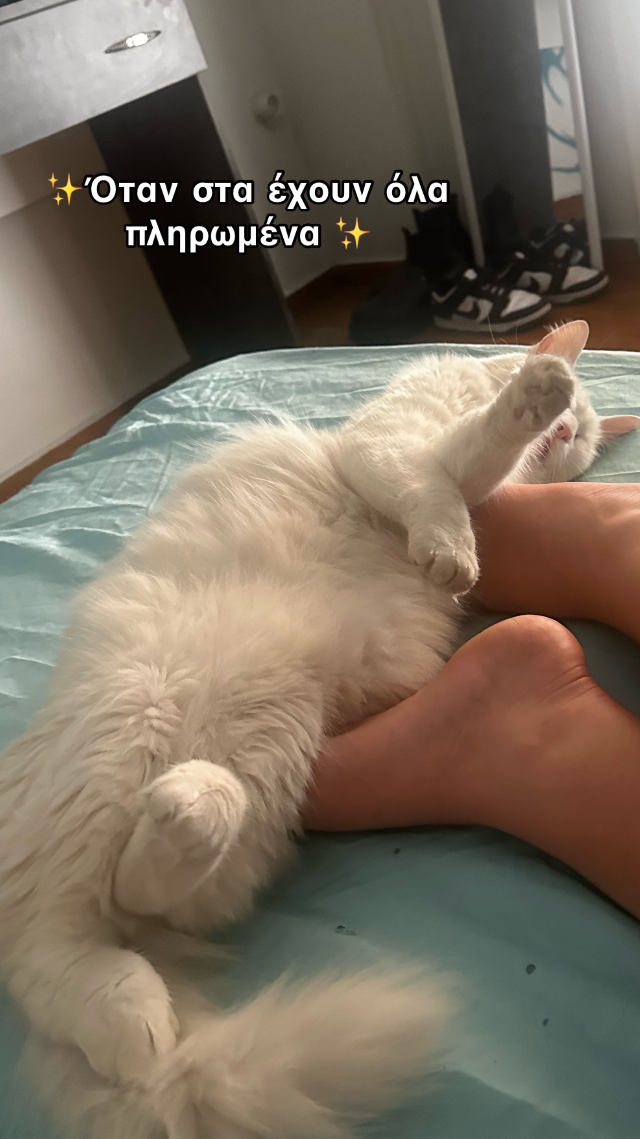 @elenigkekaa