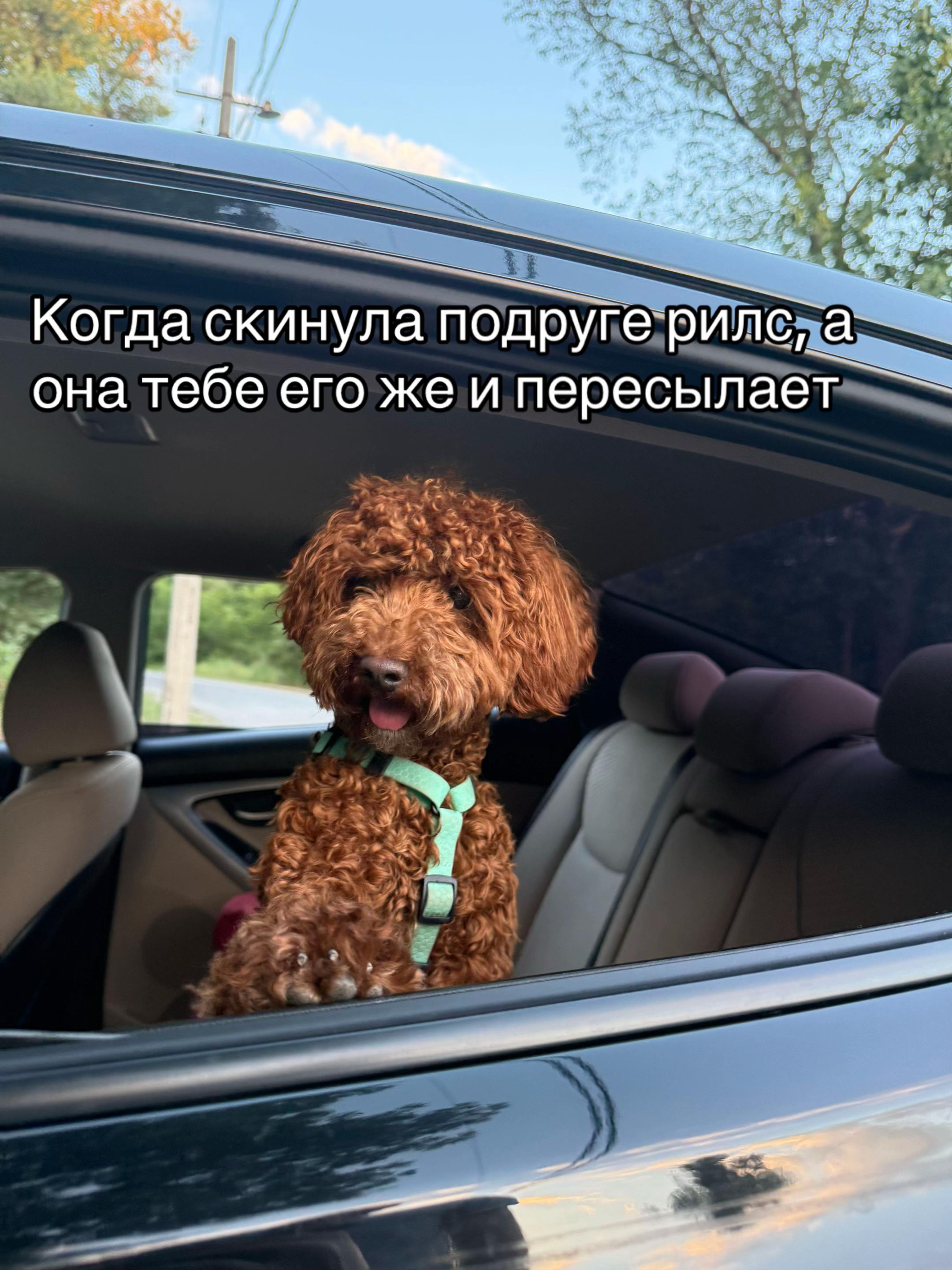 @Диана