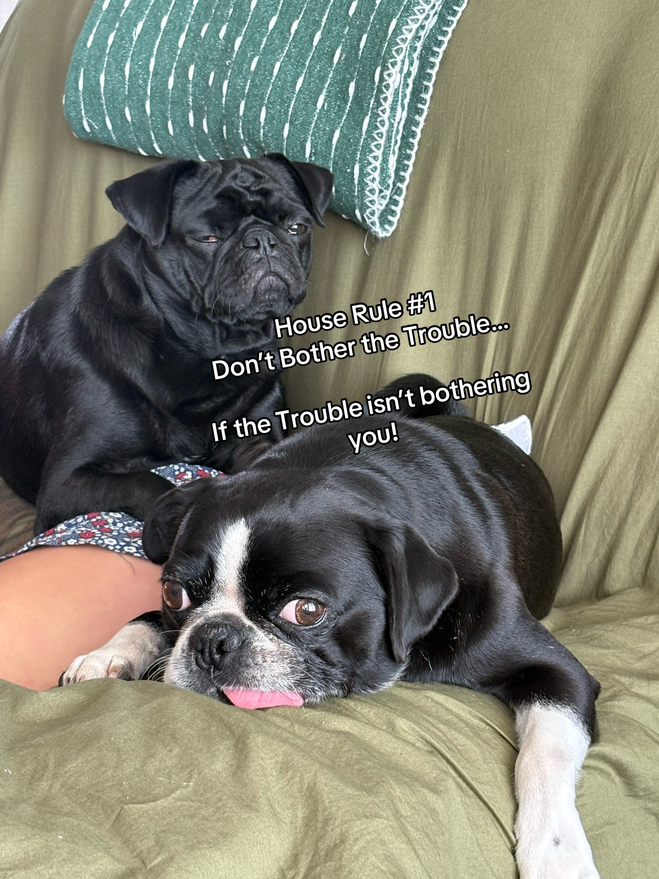 @ThreeCrustyPugs