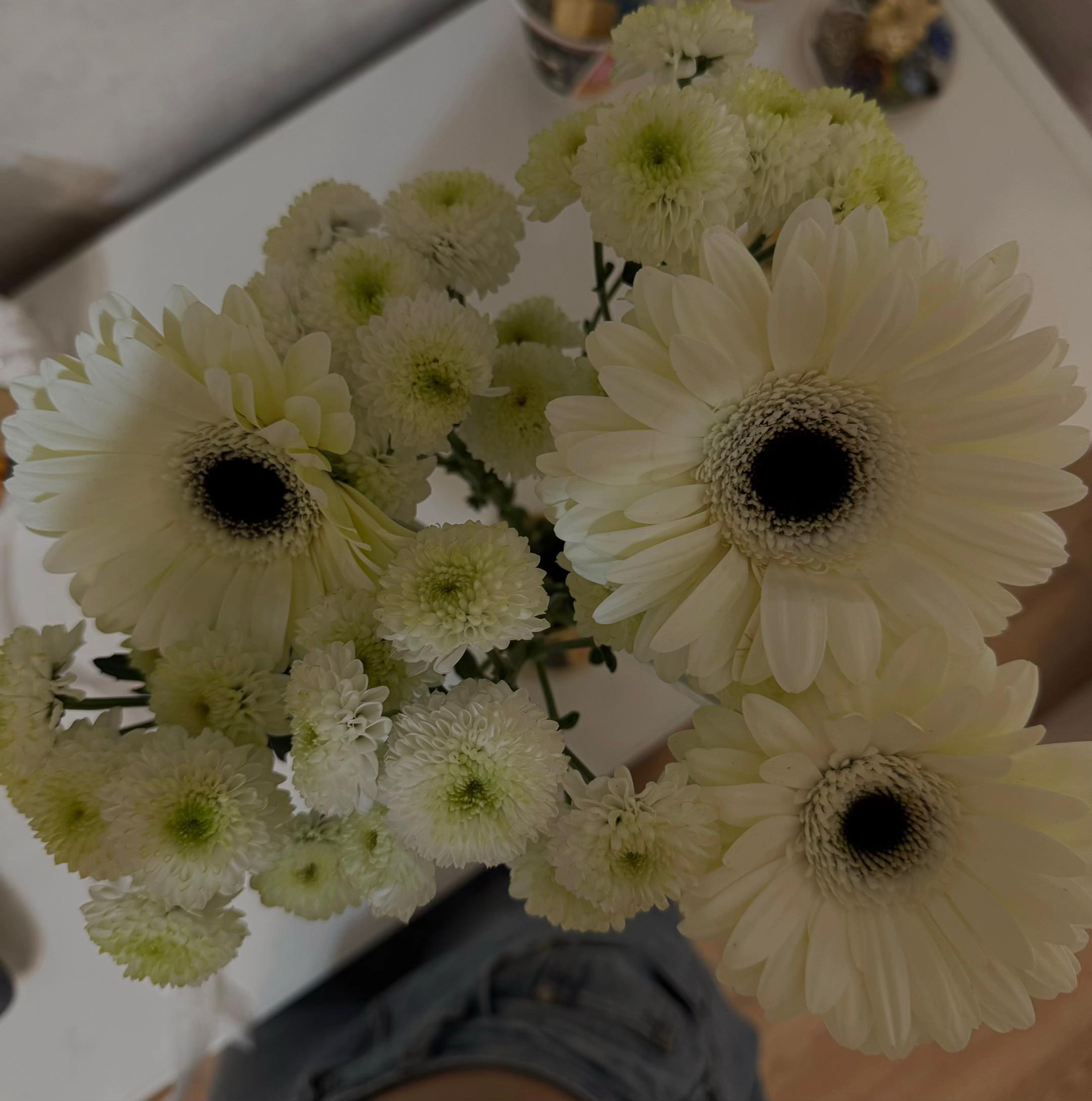 @mvmi.sh