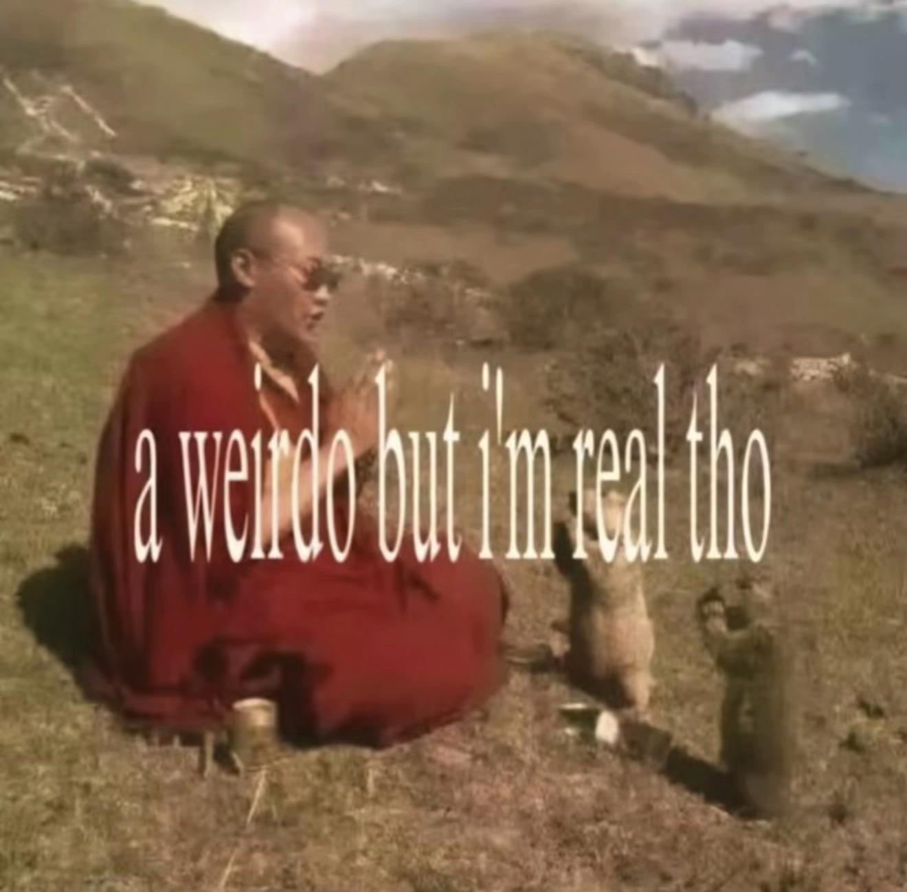 @txdvzn.io