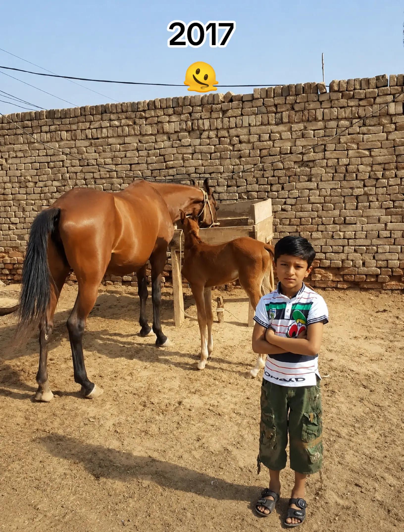 @💫✨ Khan_A.B_Joyia★