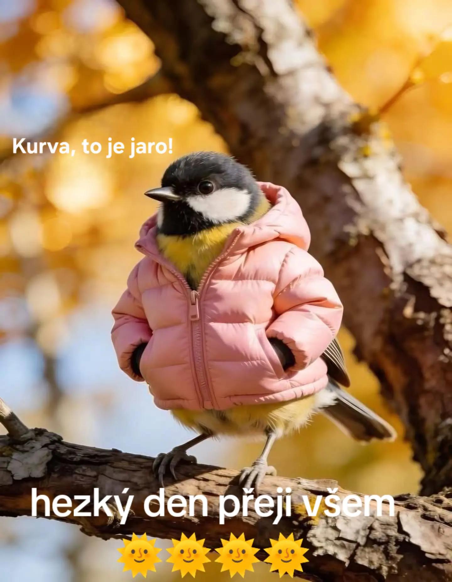 @Zdenda spravedlivý 😉