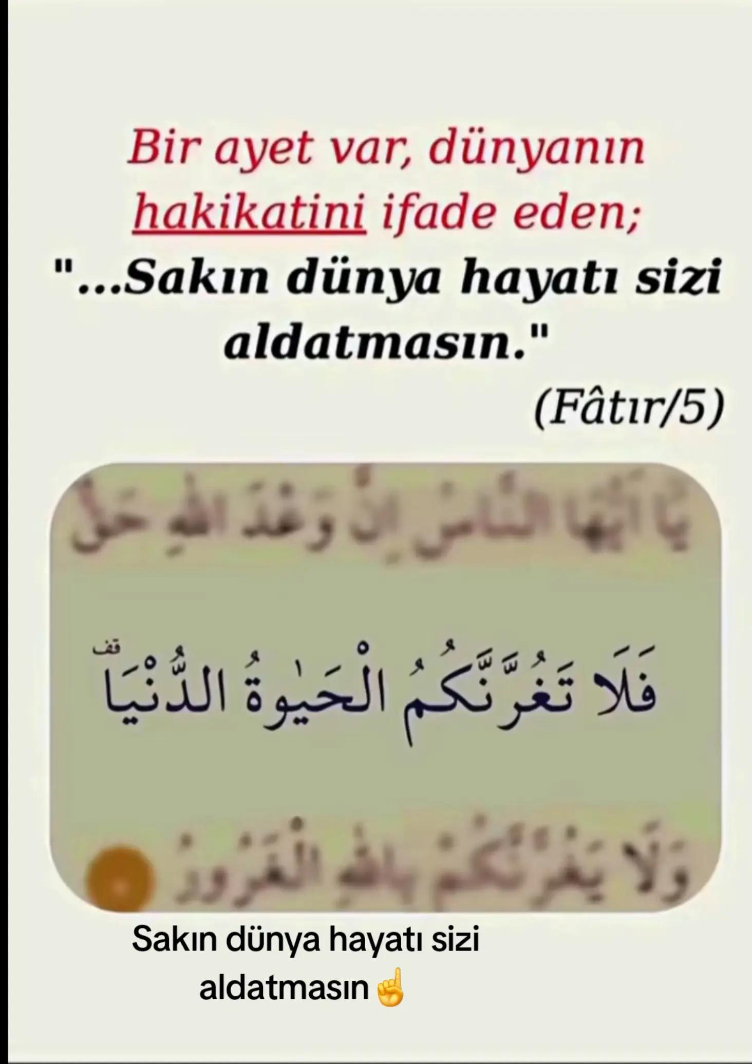 @fidansamet68