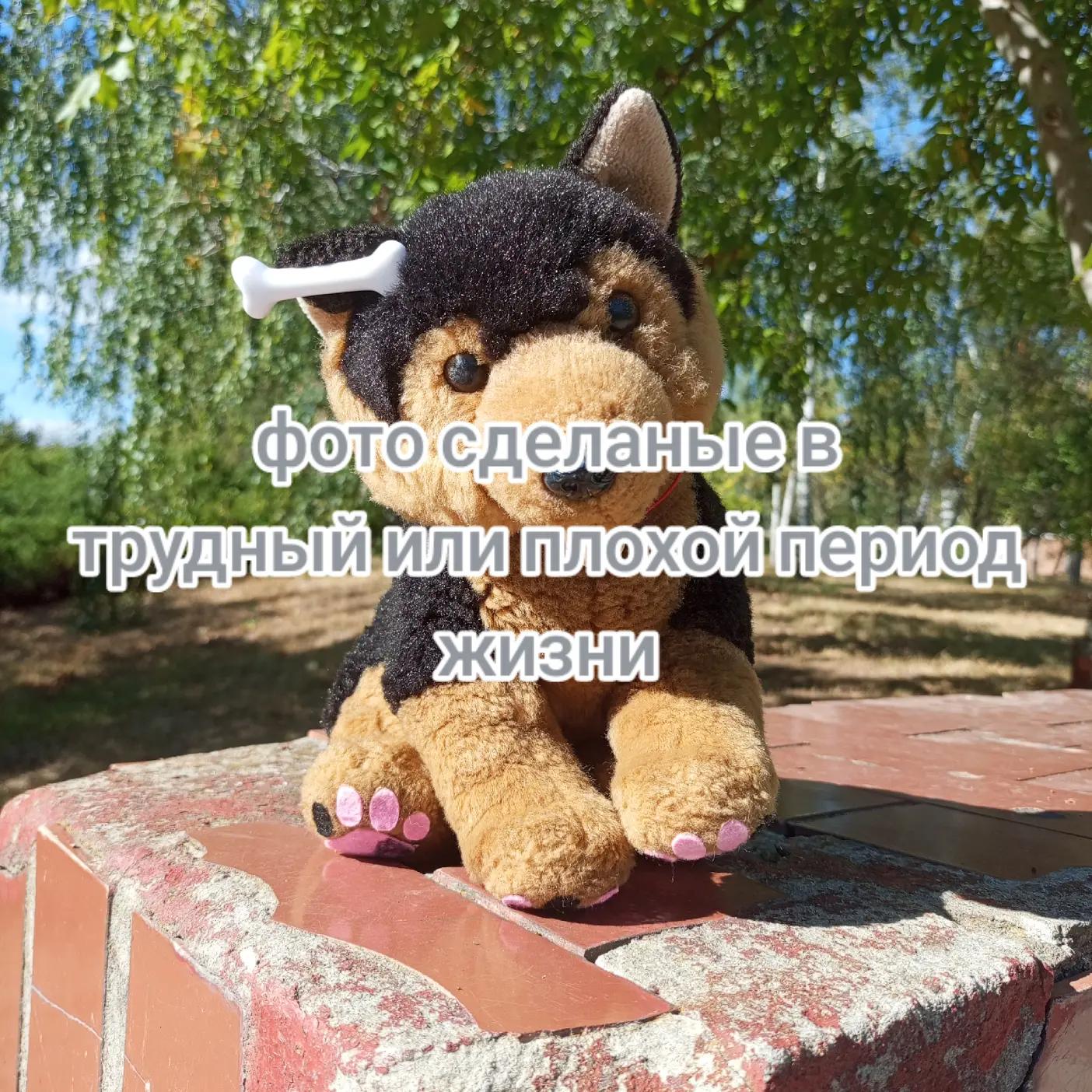 @˚•🌌∘ᗰᗩᖇIK!)ᗴՏՏᗩ/ᑭᗪᗷ∘🔮•˚