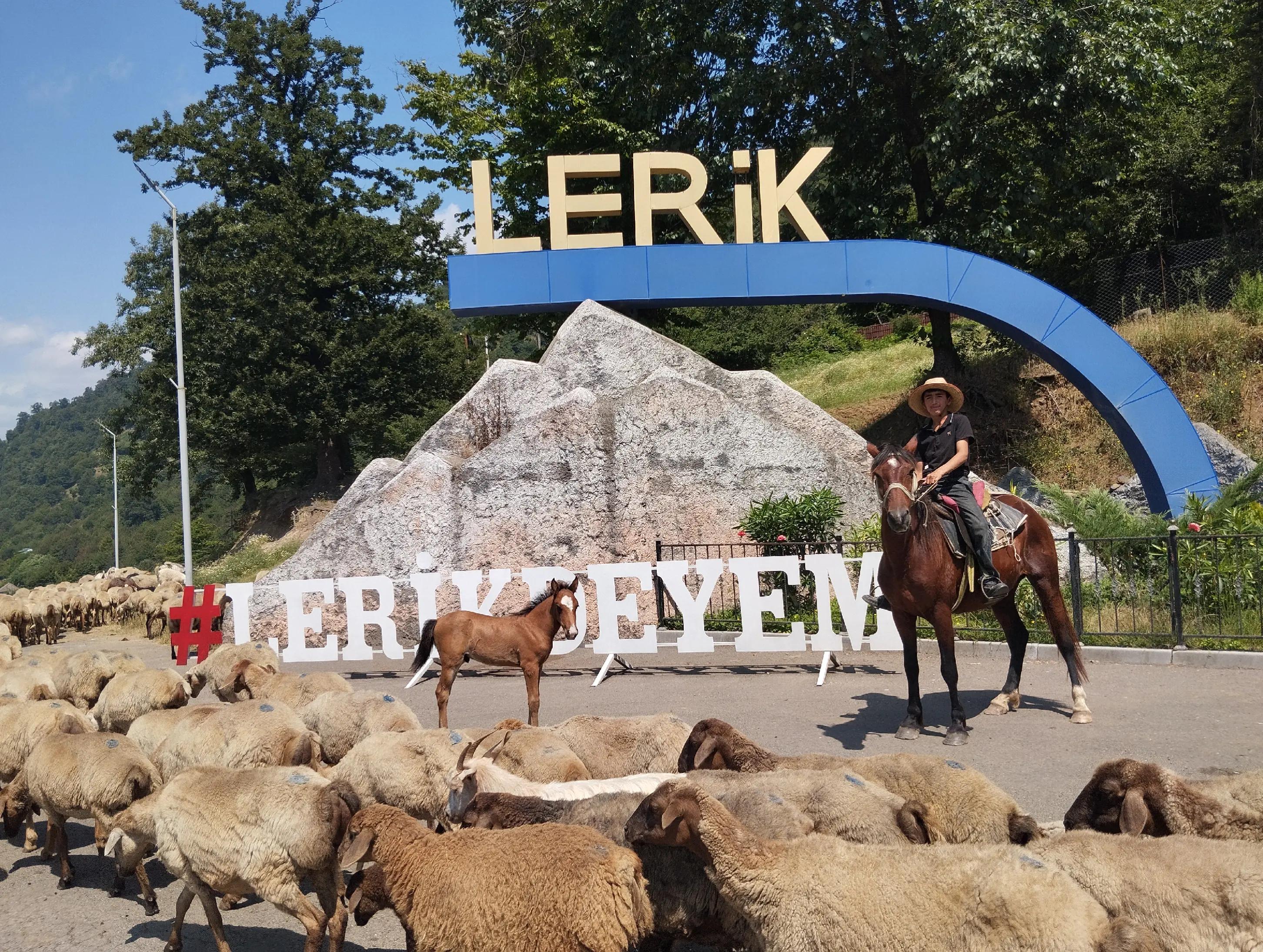 @Elgün Əlizadə