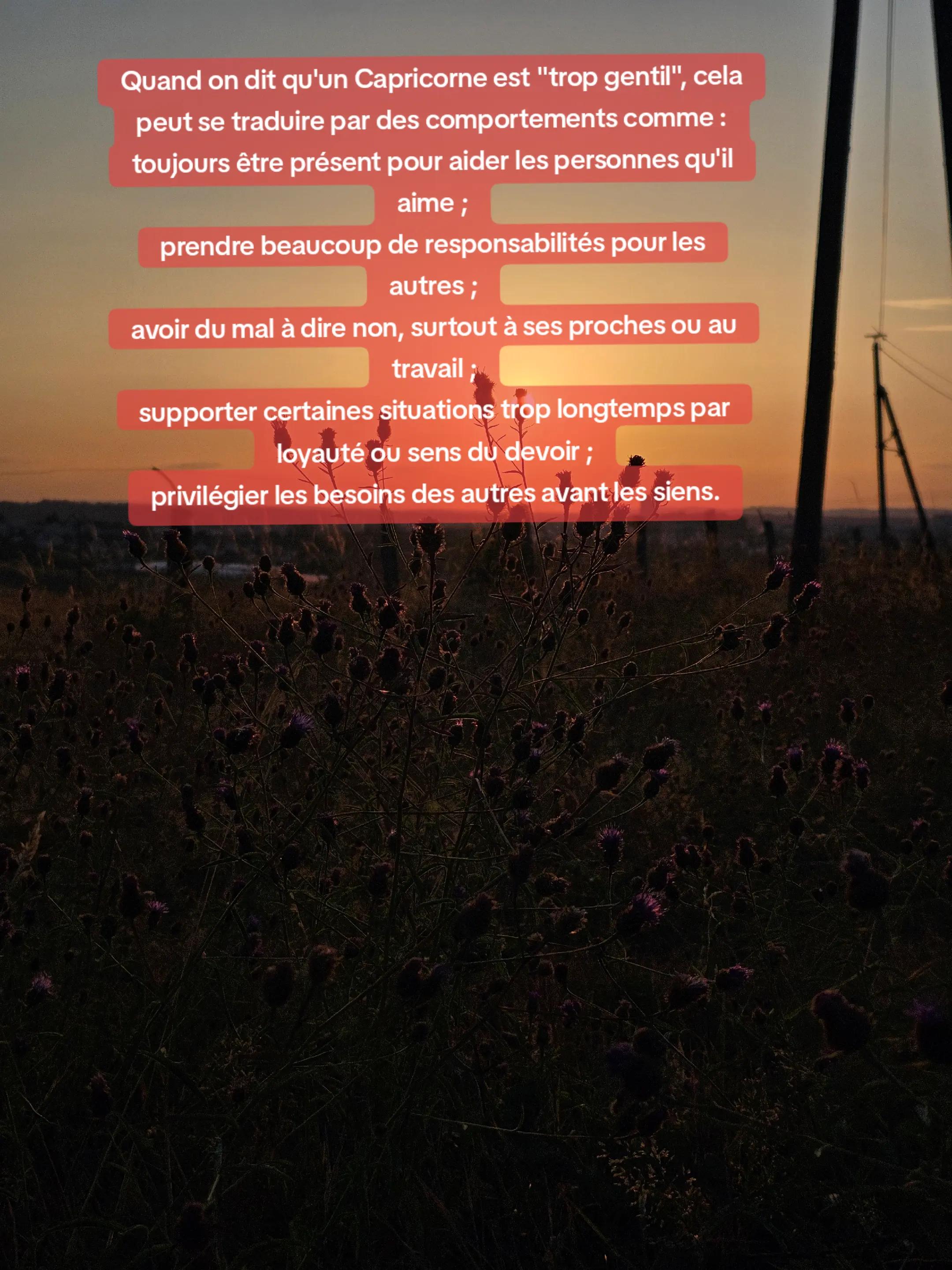 @Le rucher du petit vosgien