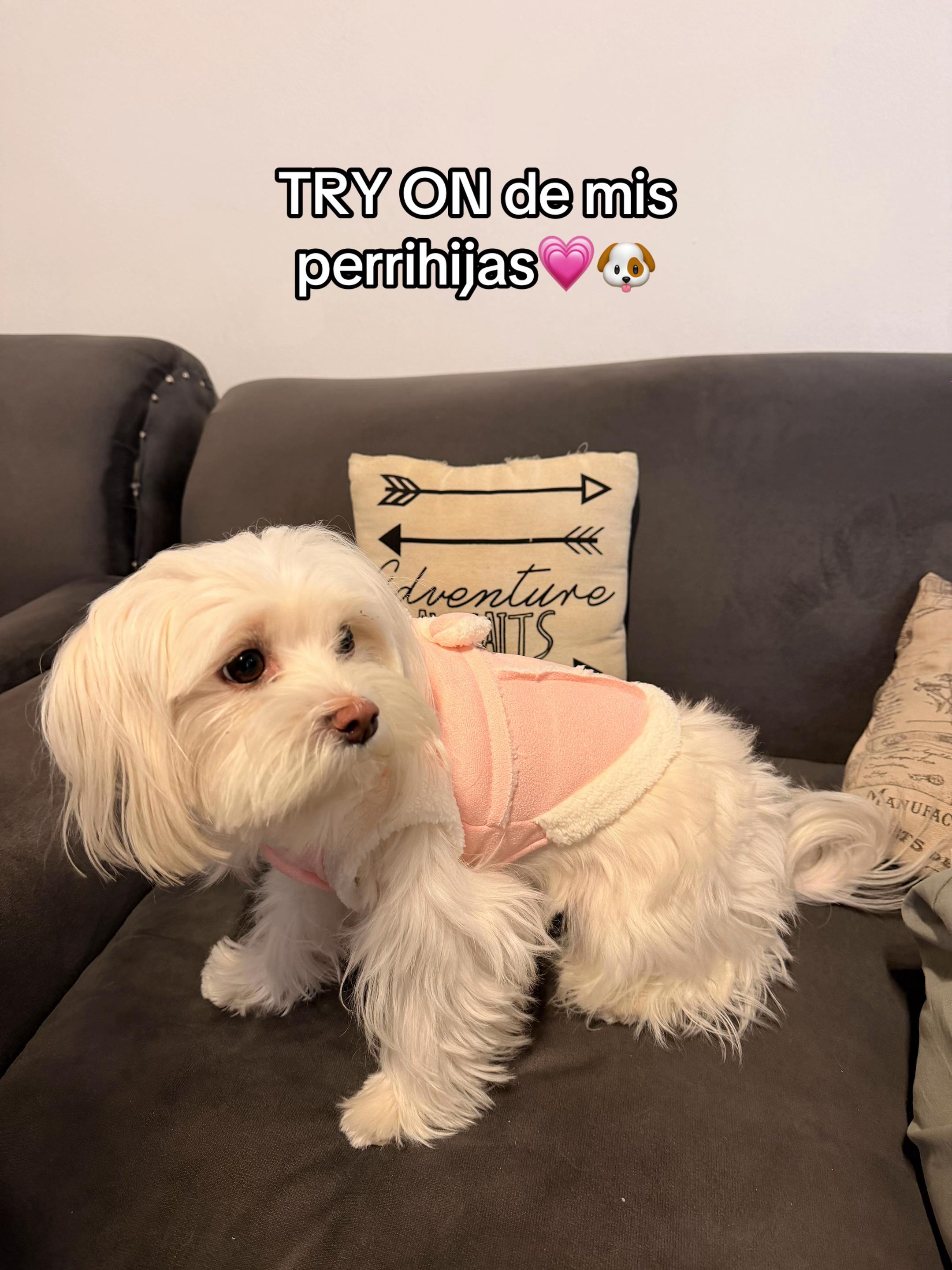 @Orispangi