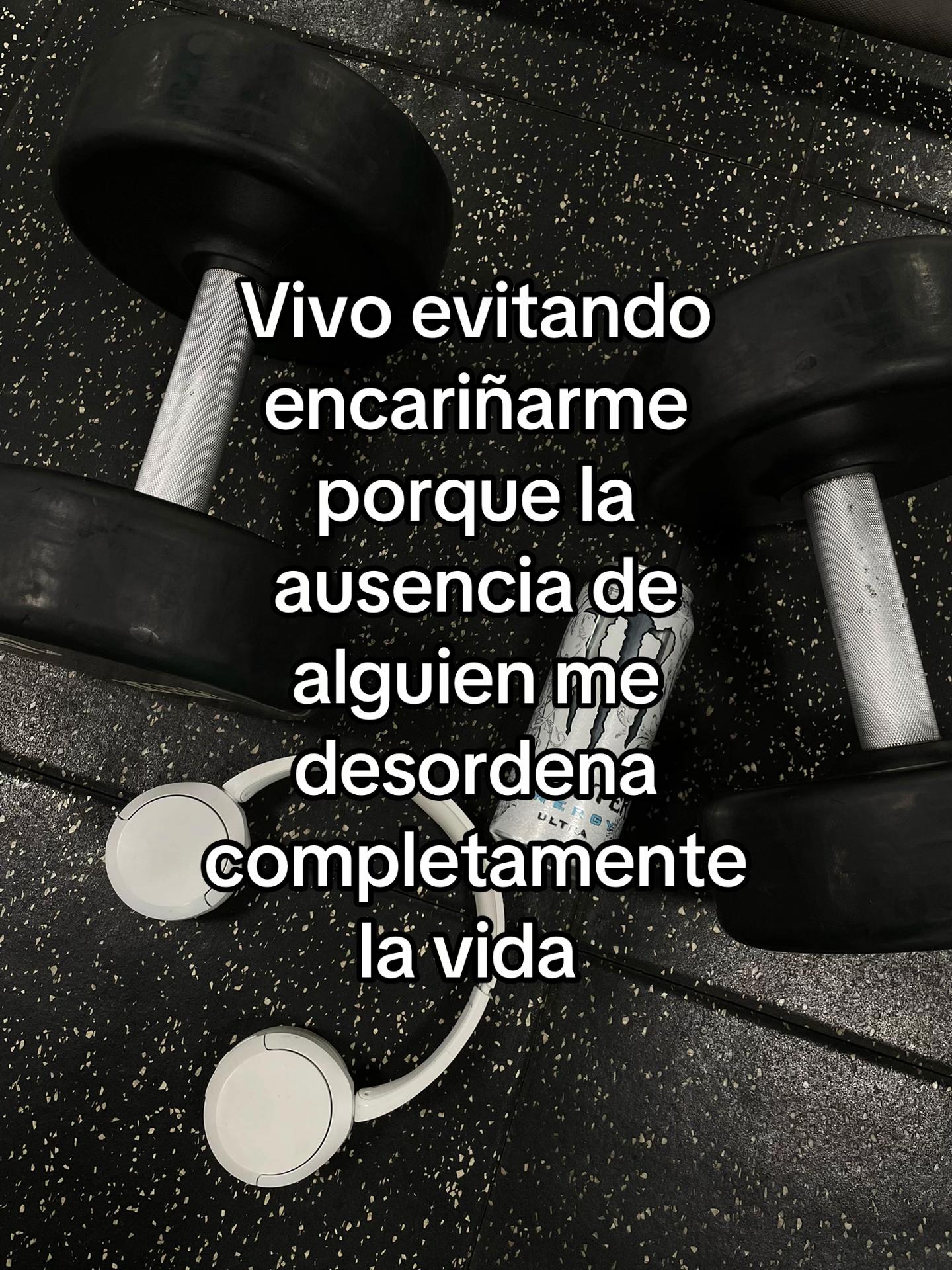 @matteo 🕷️