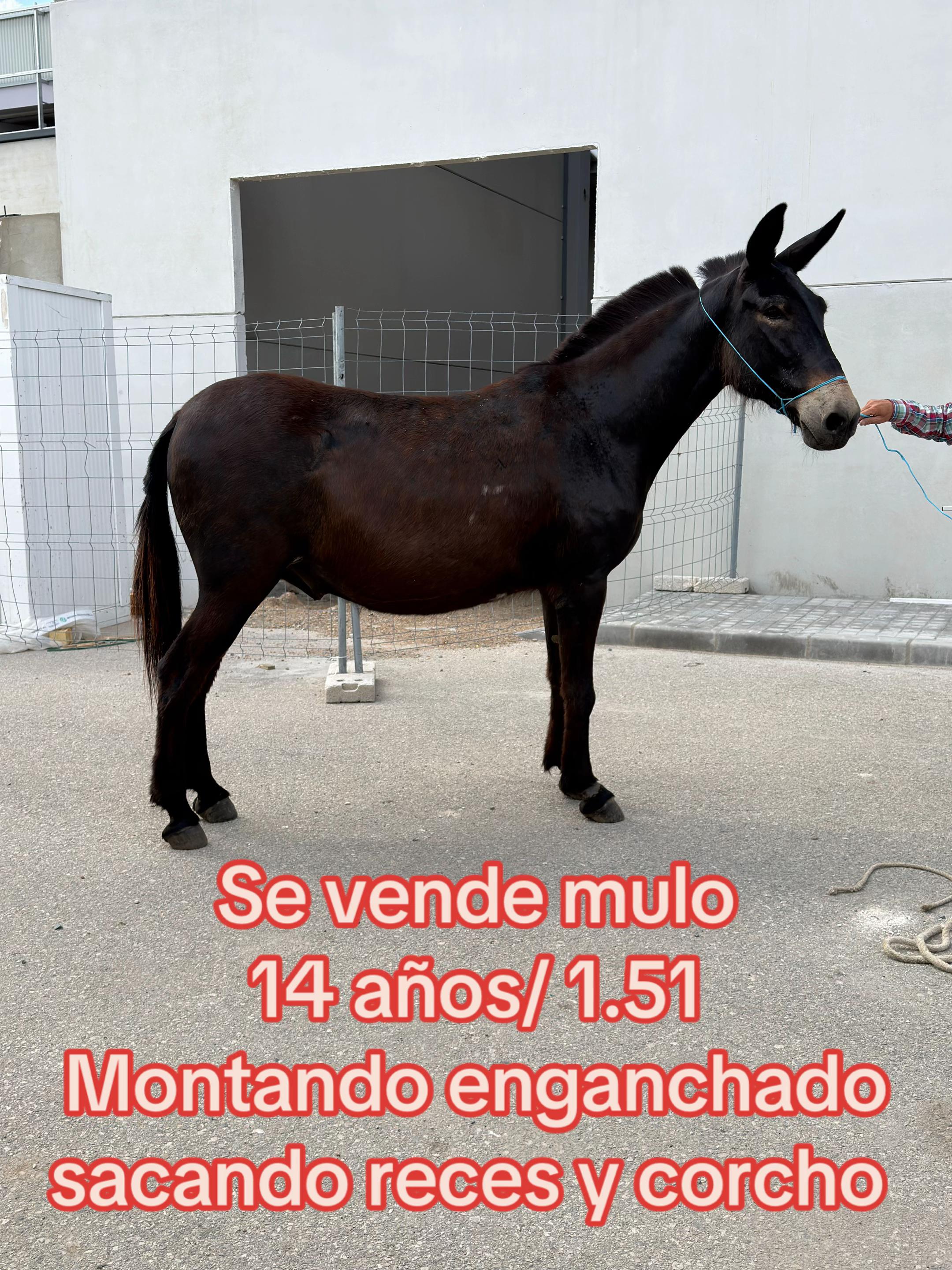 @María del pilar