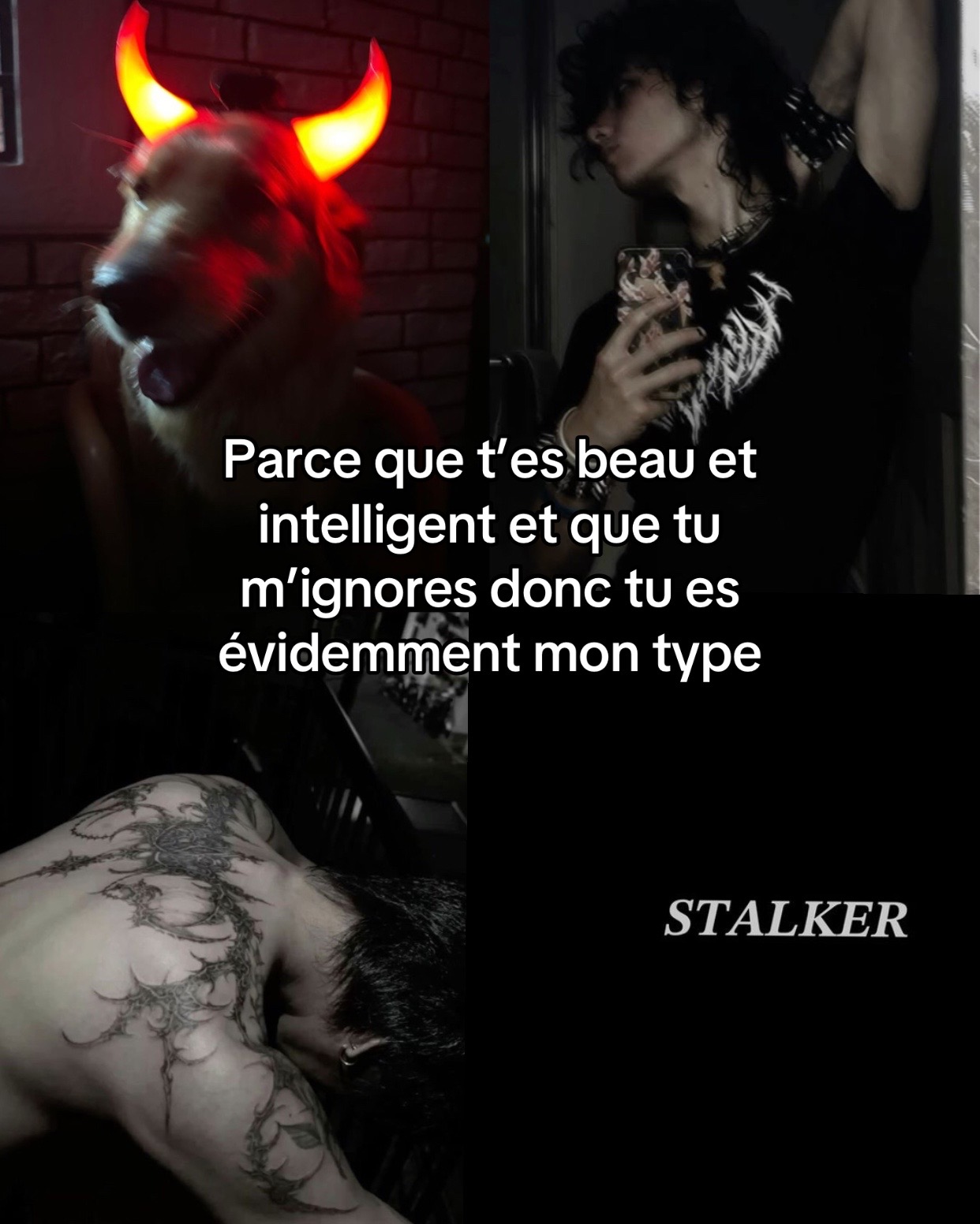 @impostrice20