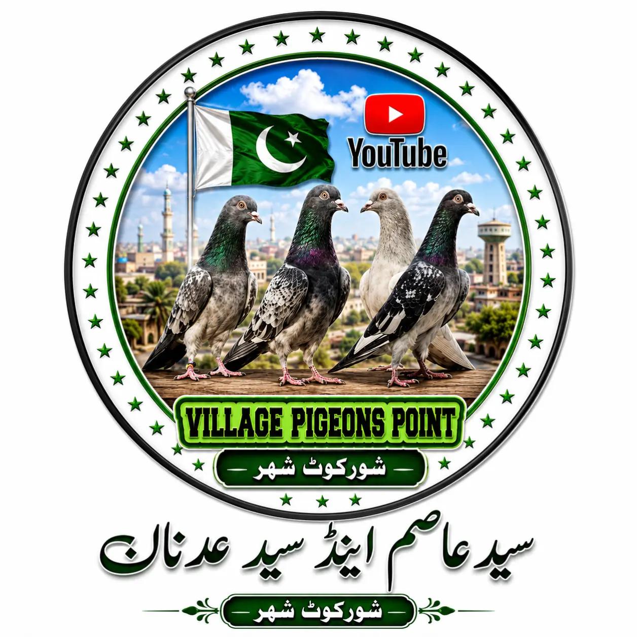 @village pigeons point