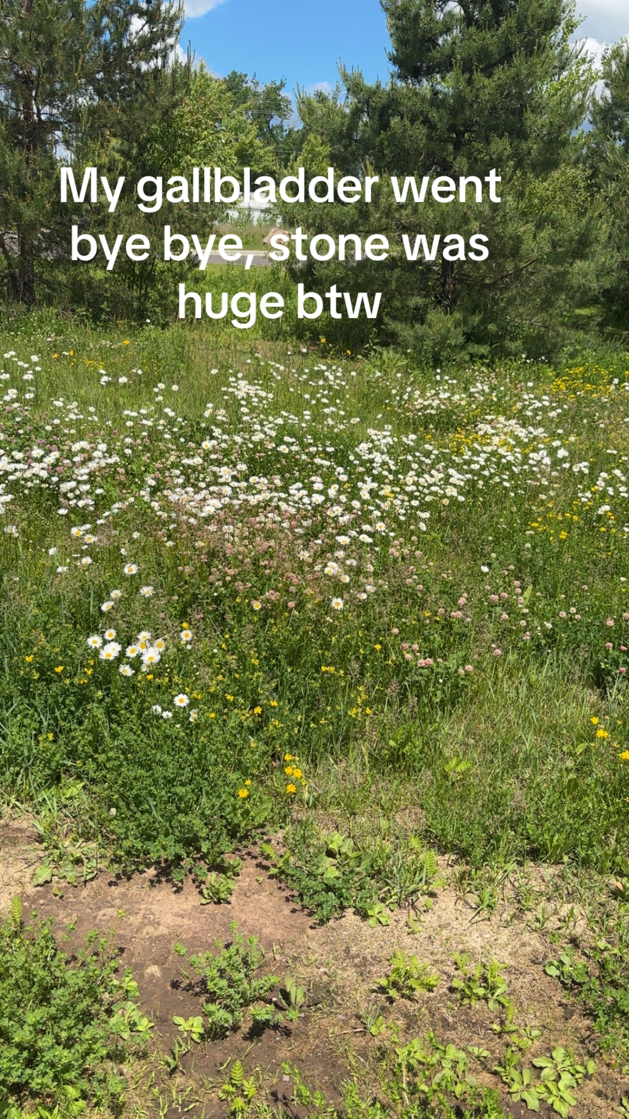 @SturgeonJoe