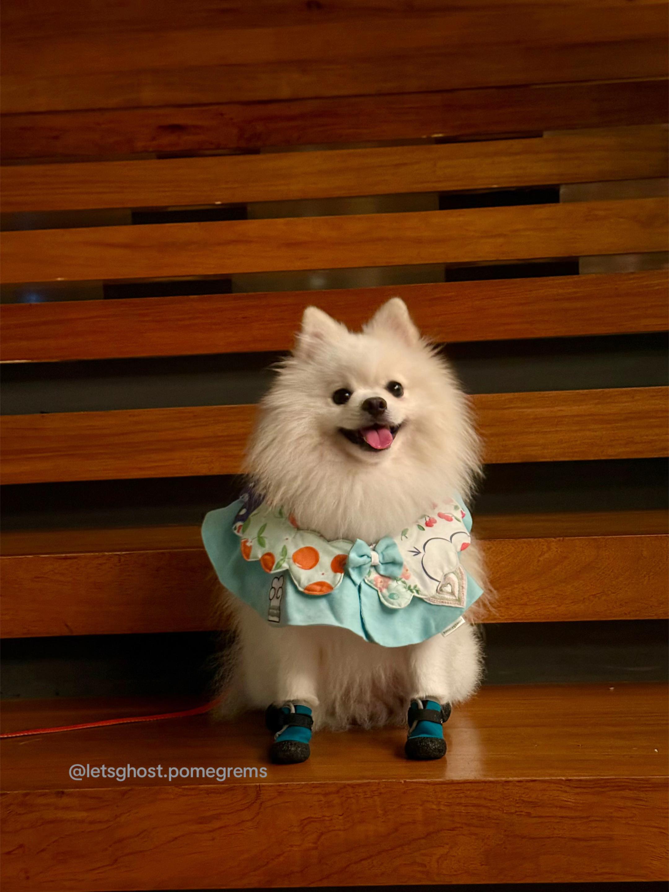 @G H O S T TheRunnerPom