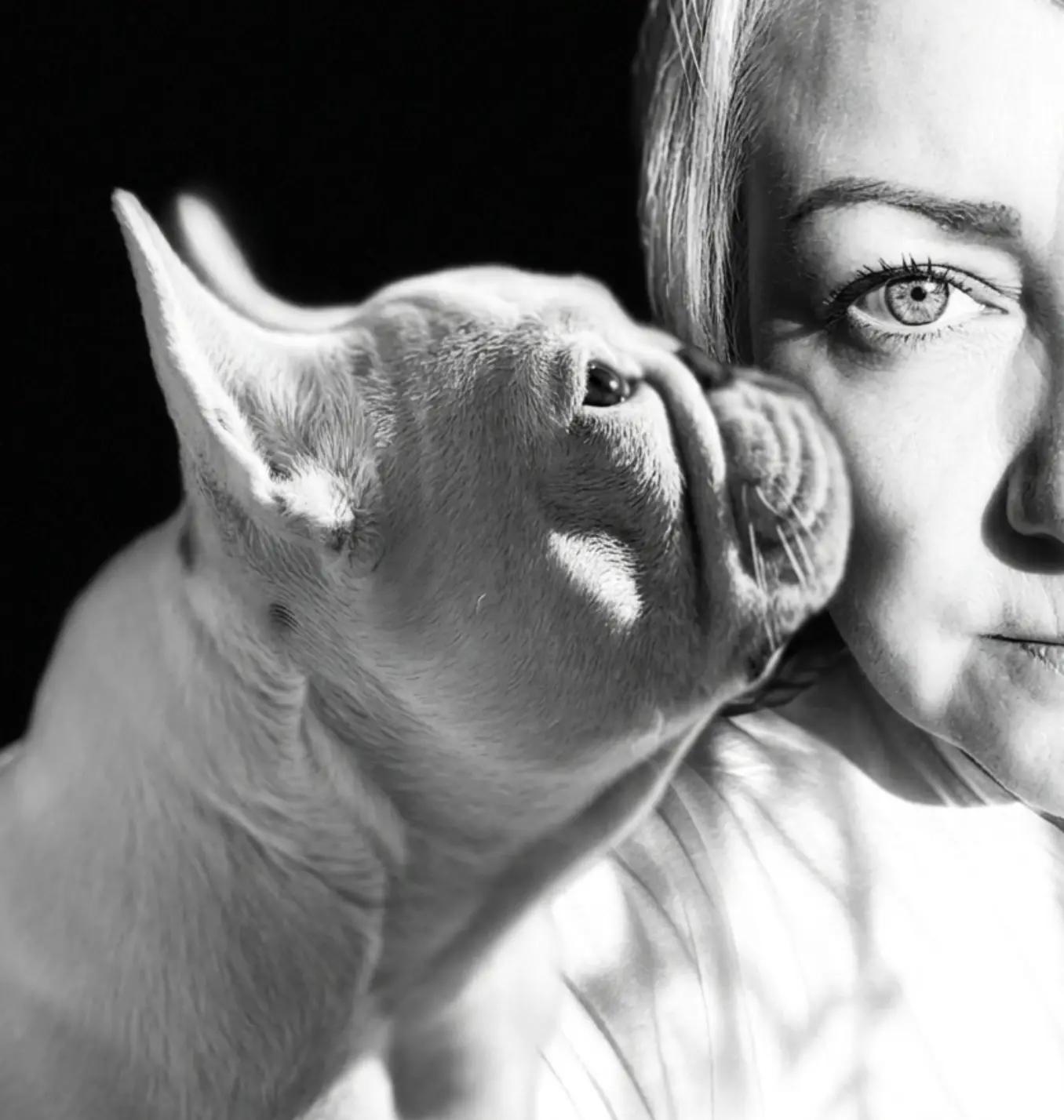 @Bosphorus Bulls French Bulldog