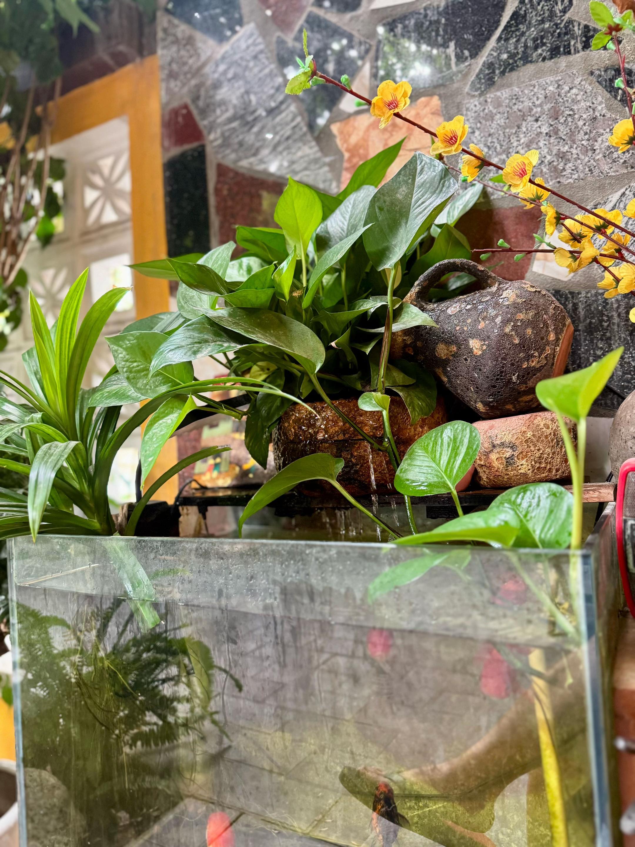 @Vũ Duyên Mart