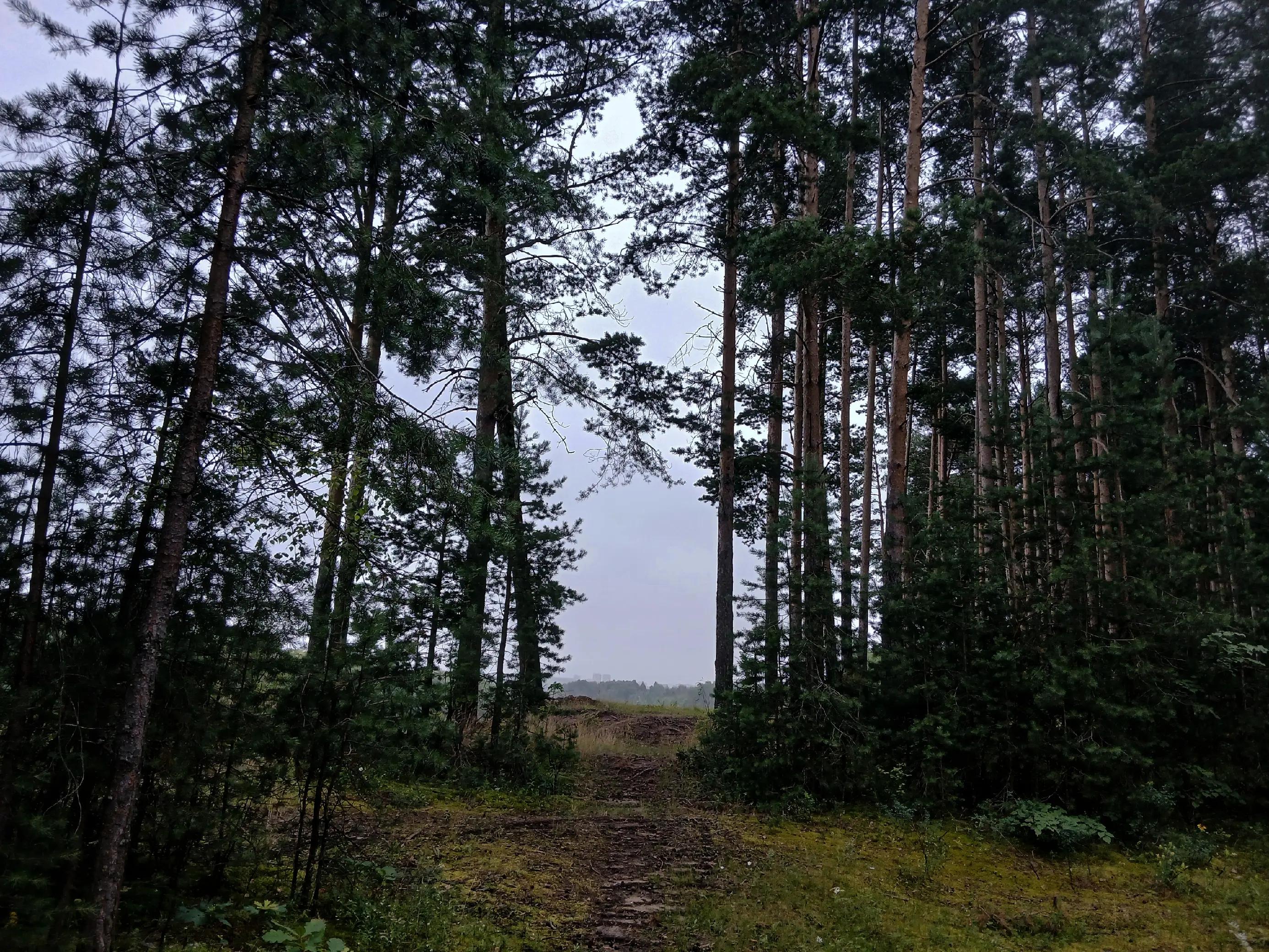 @Ржавый гроб ⚰️