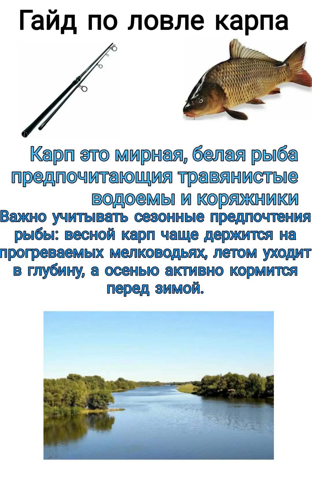 @MSK