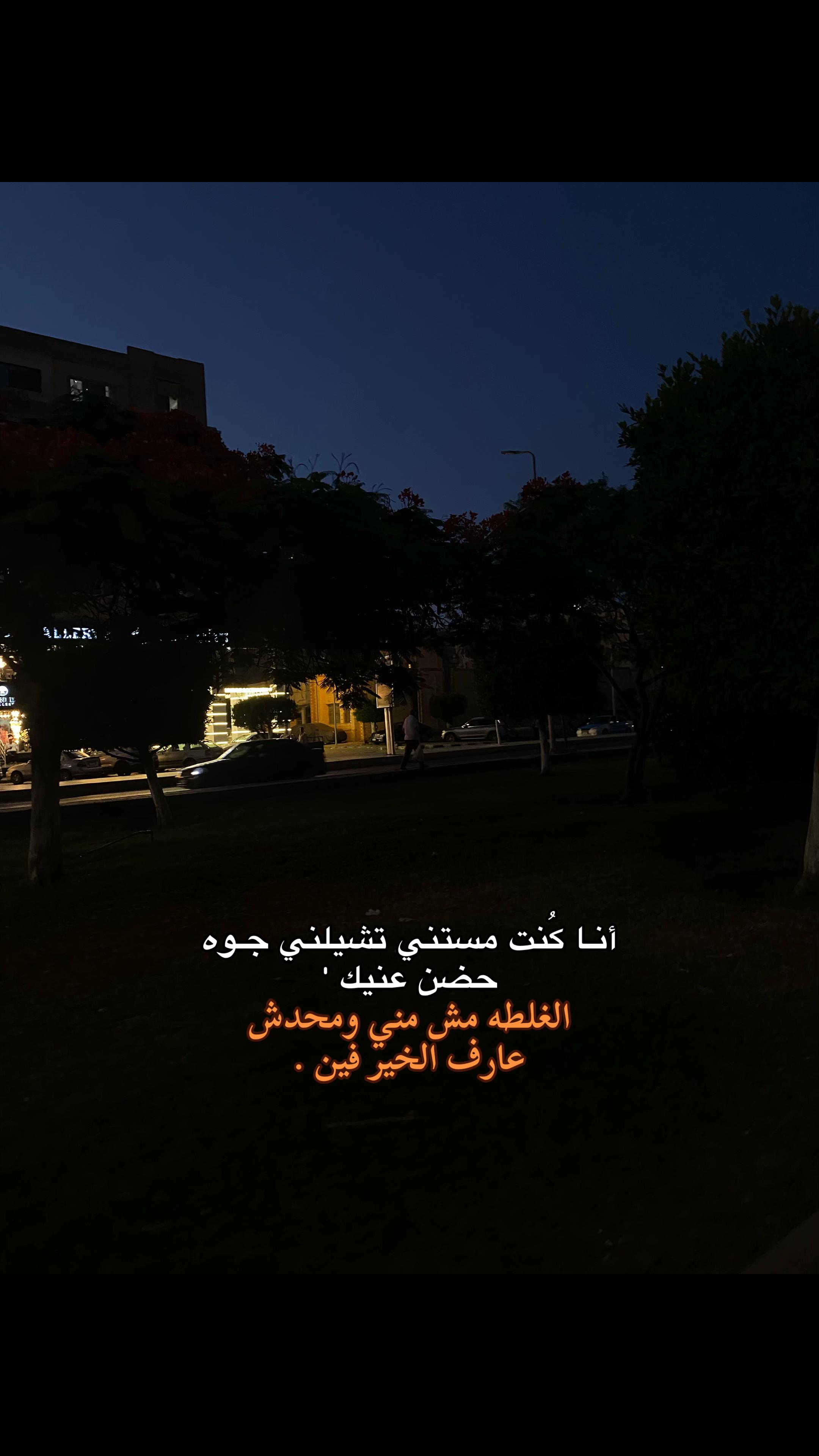 @shahd nassar