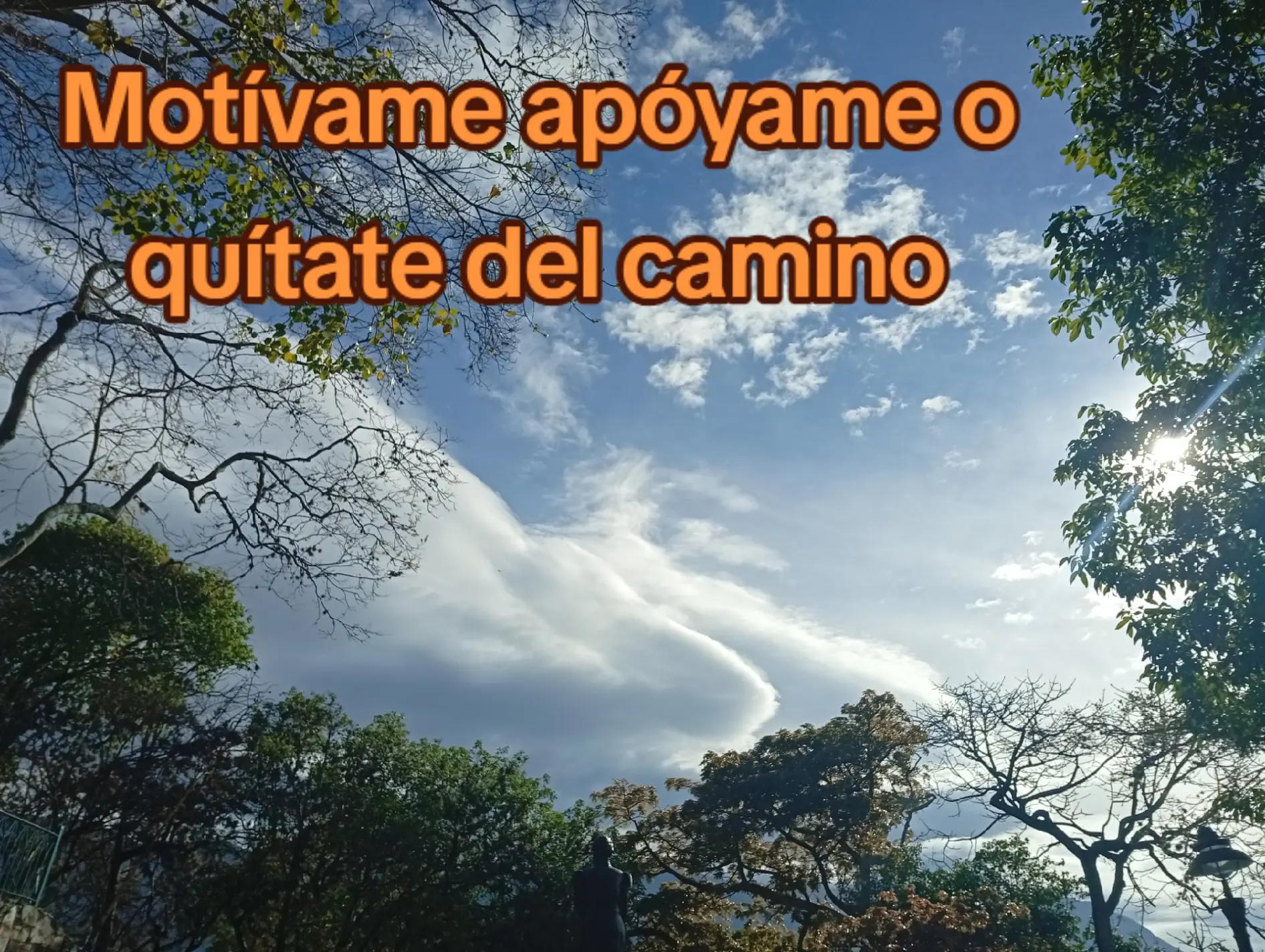 @YUS_CAFE