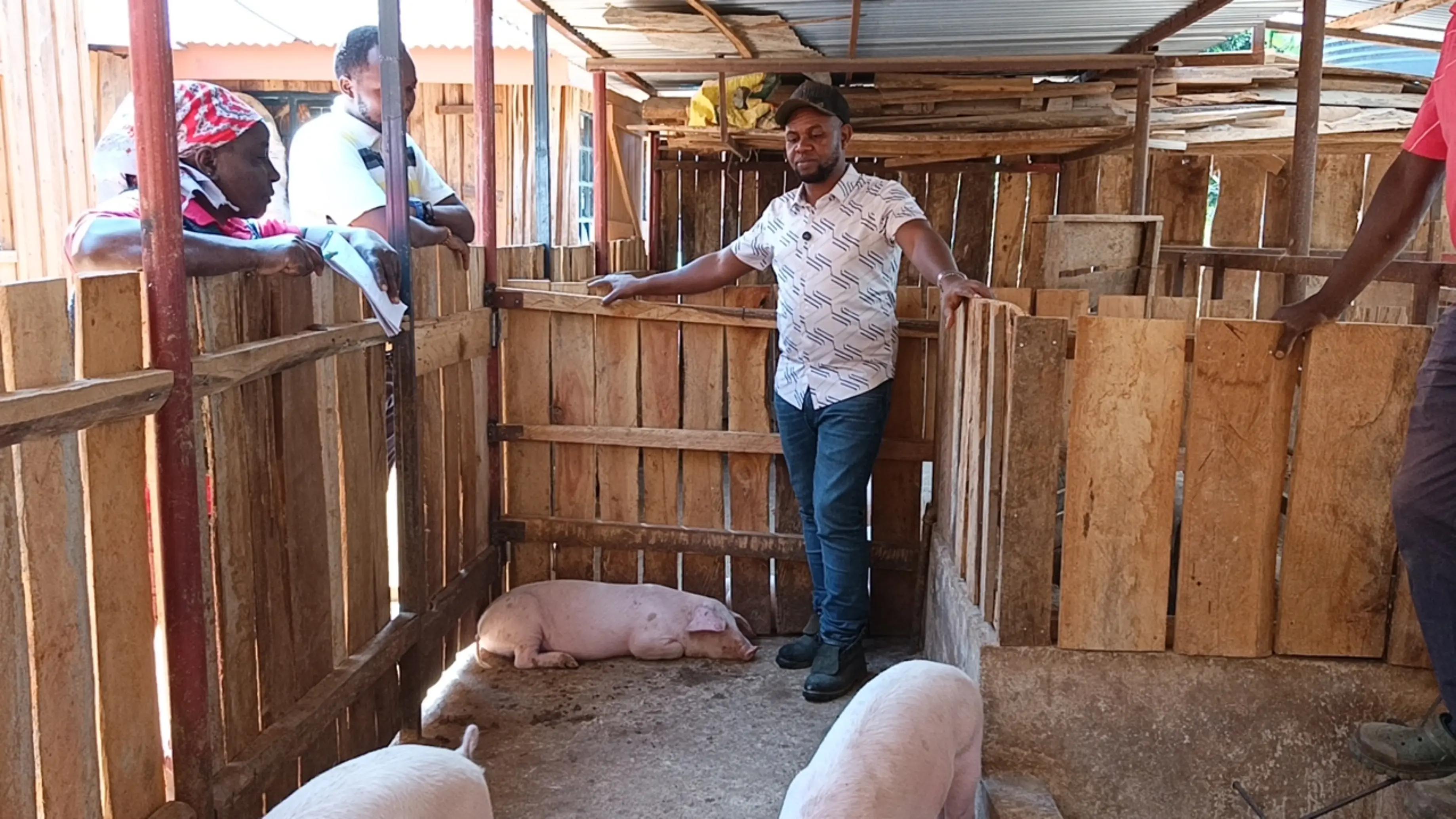 @Pigbreeder