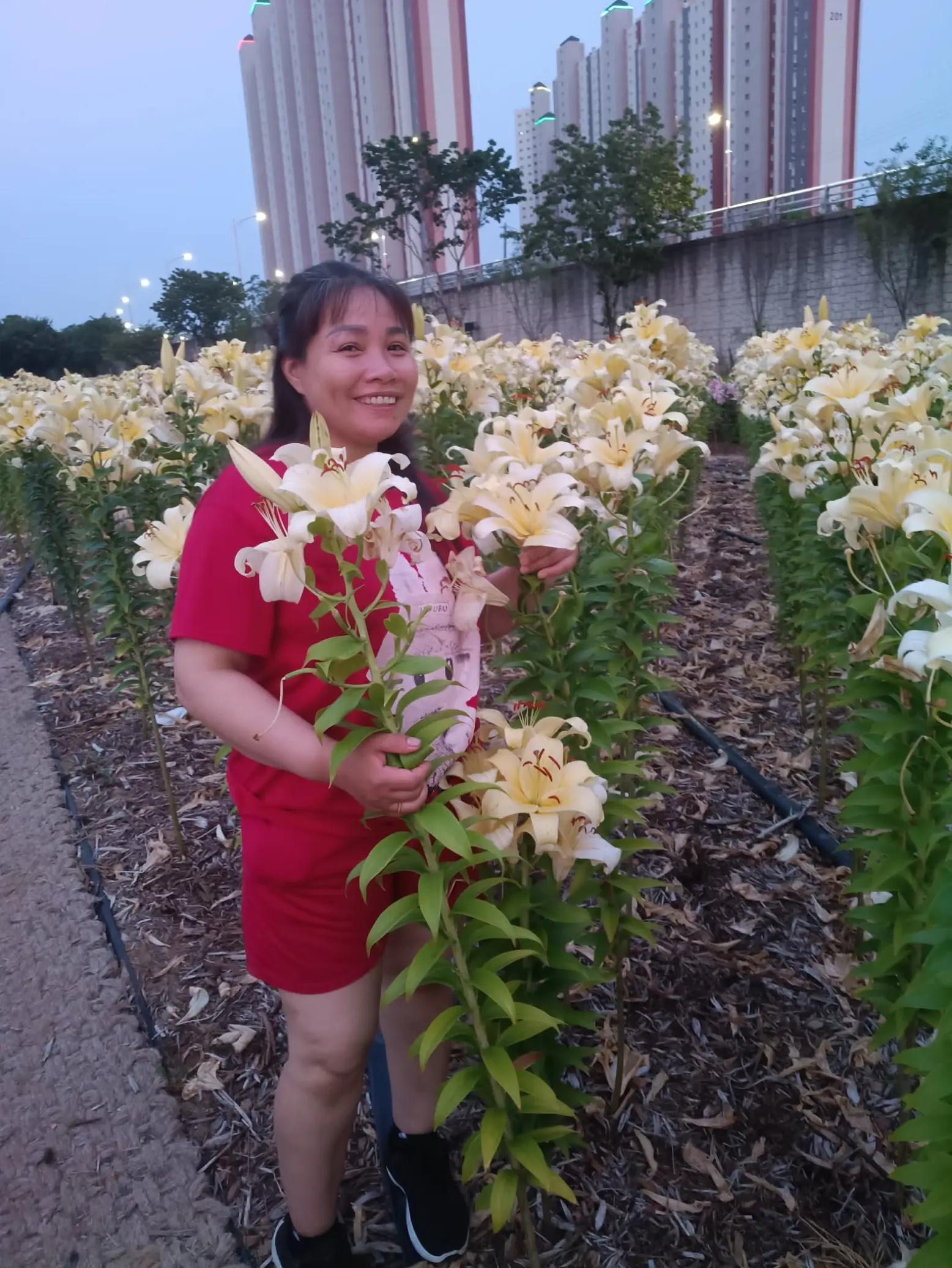 @cố quên tắt cả