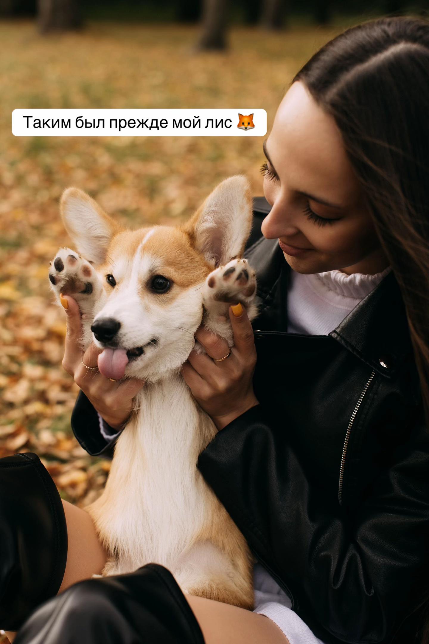 @corgimom.alntz
