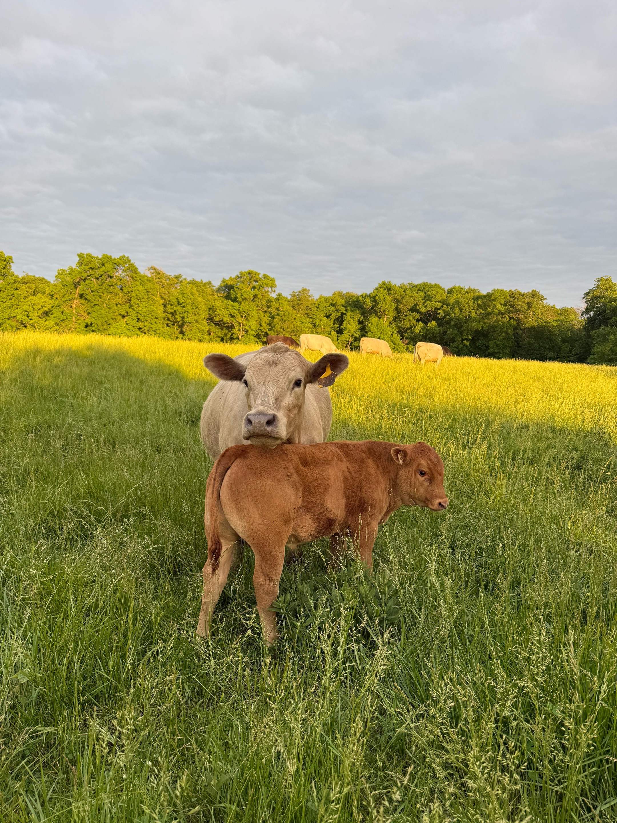 @kl2farms