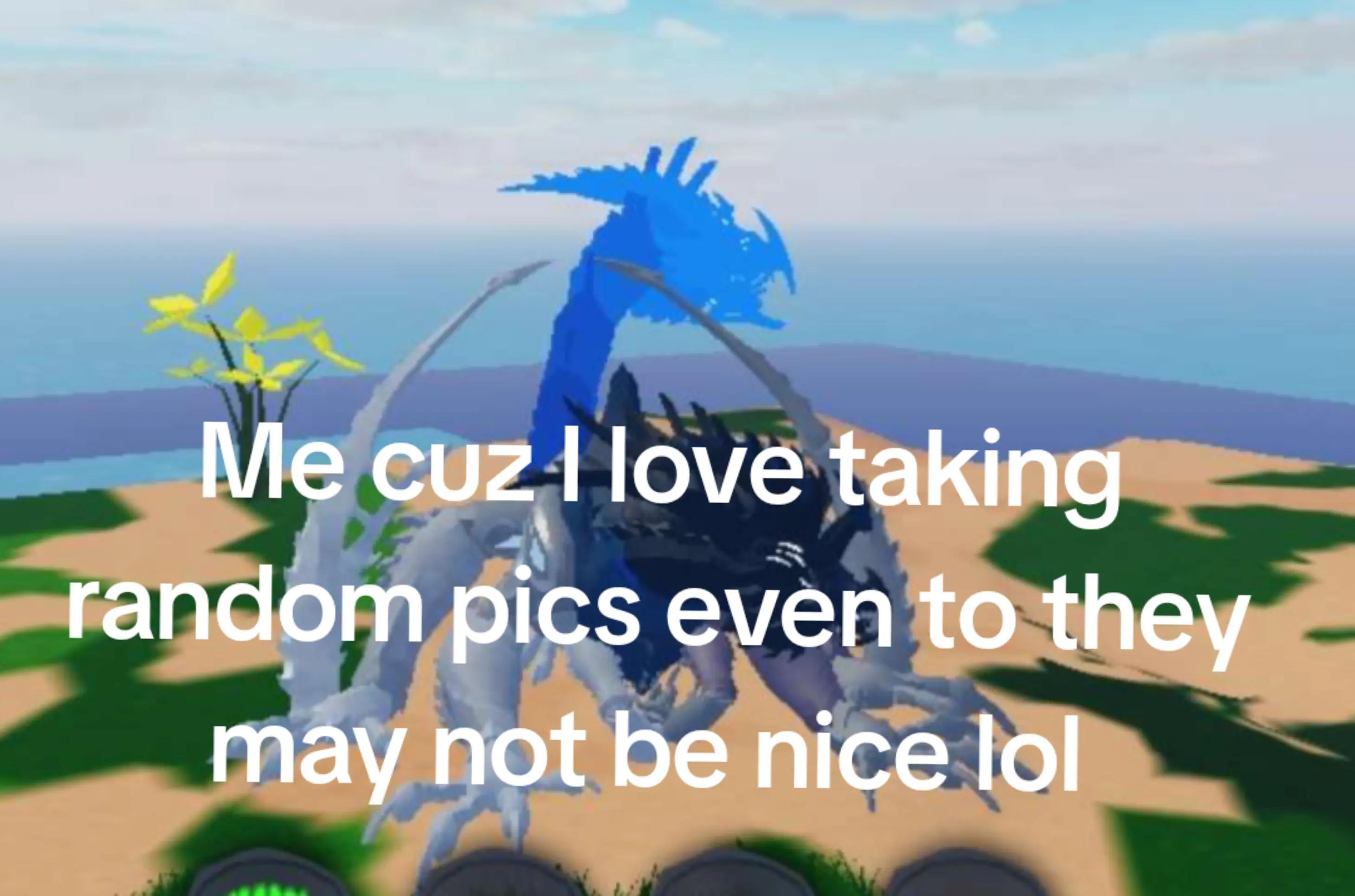@Klein_Wolf