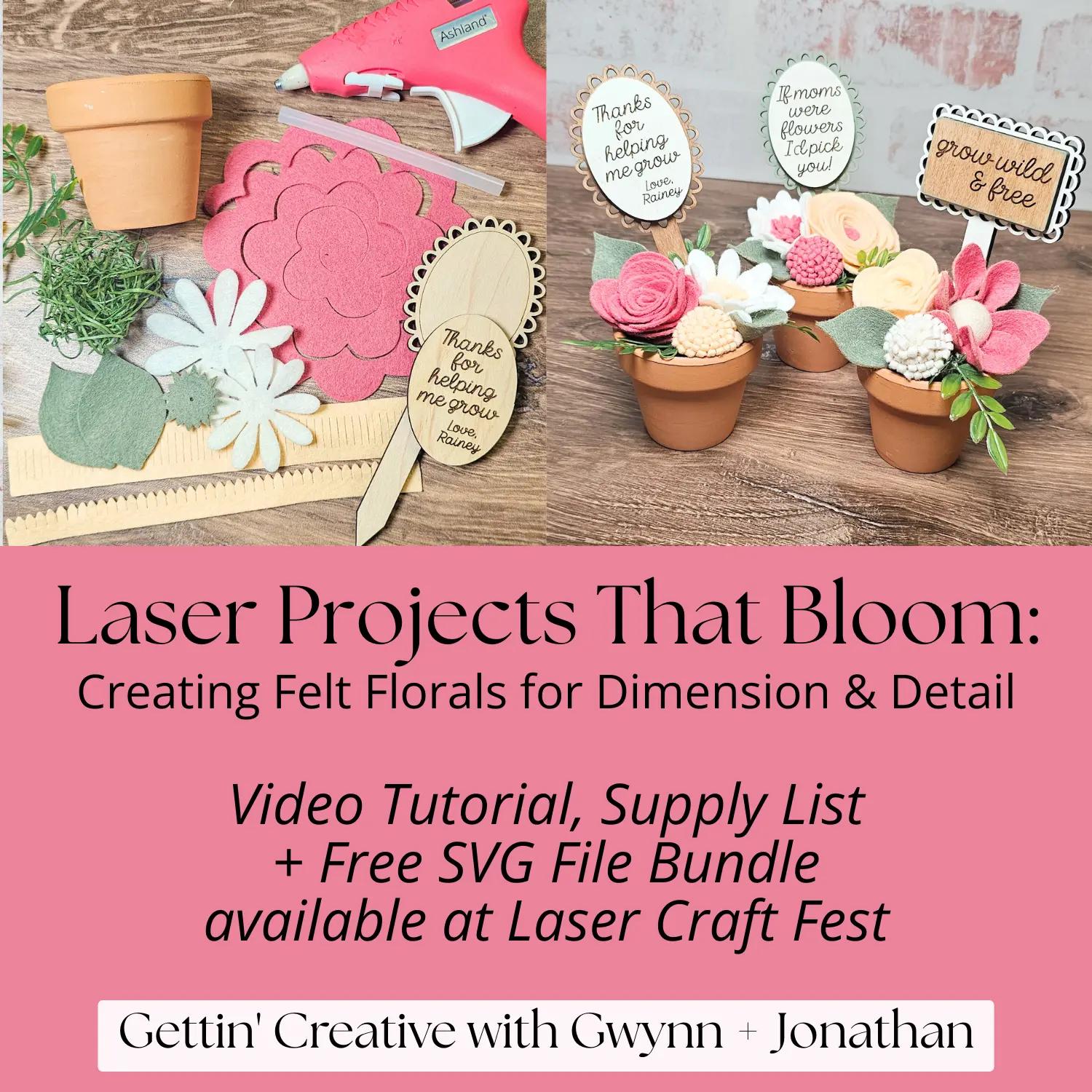 @Gwynn - Laser Lover + Mentor