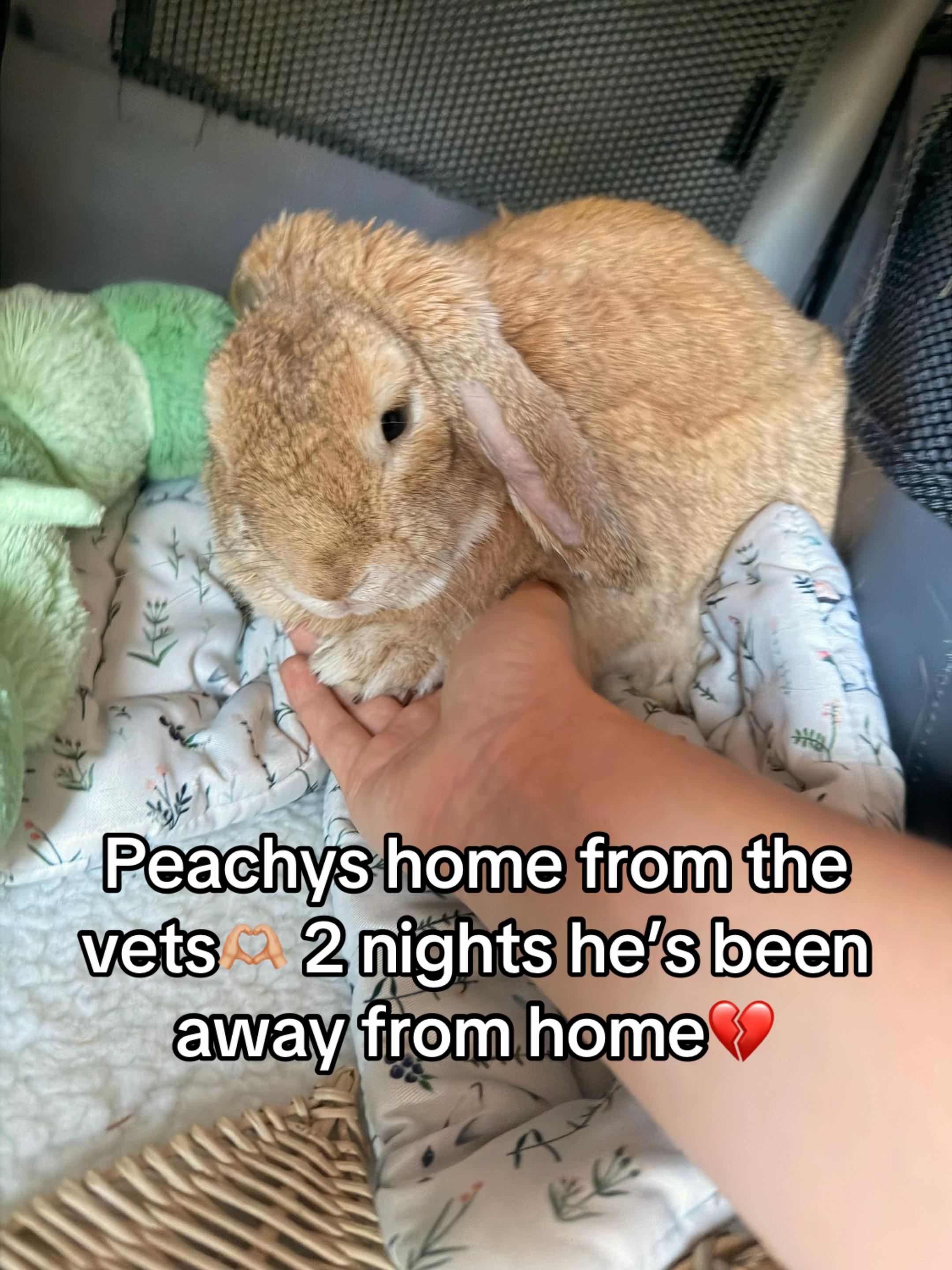 @Moana_Peachy