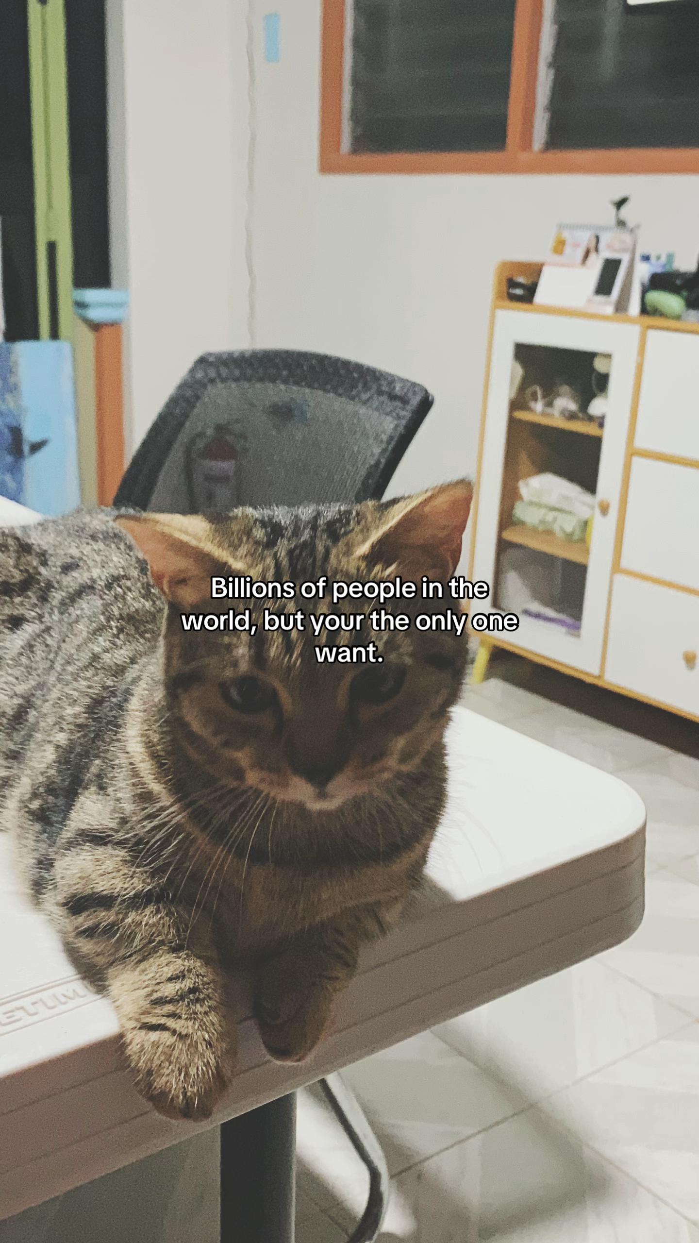 @Cel