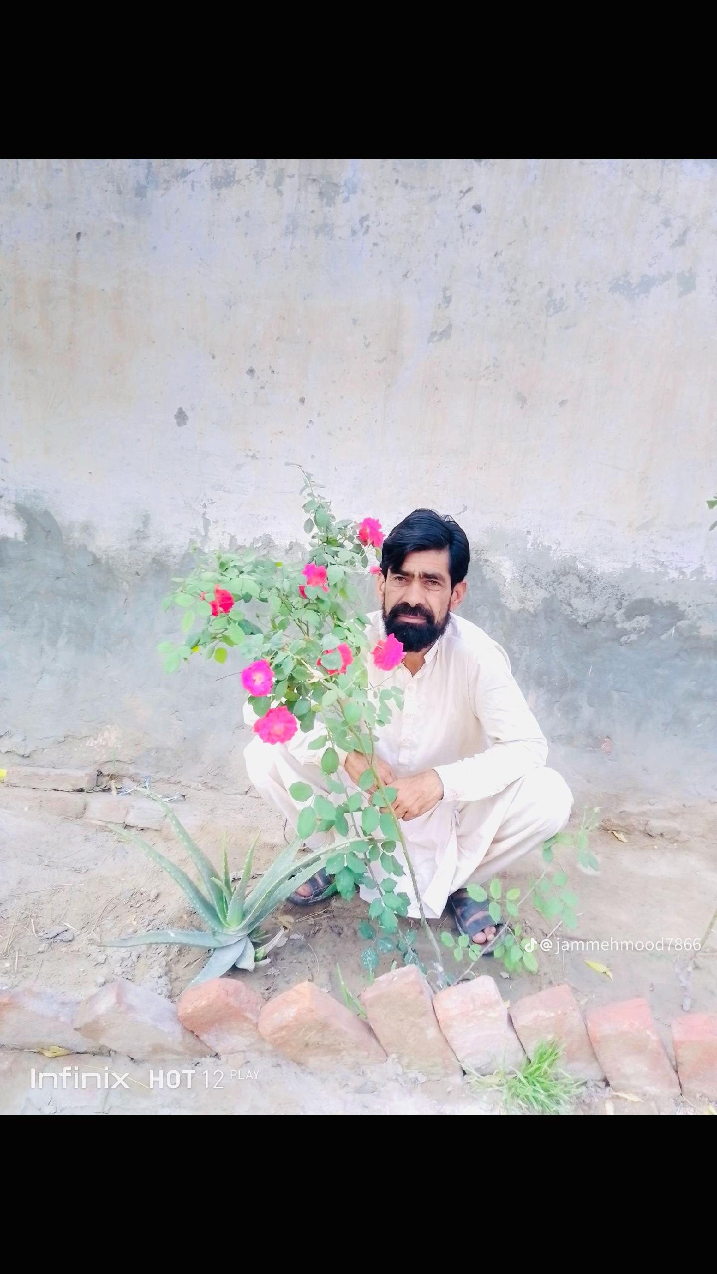 @🥀Jam Taimoor🥀