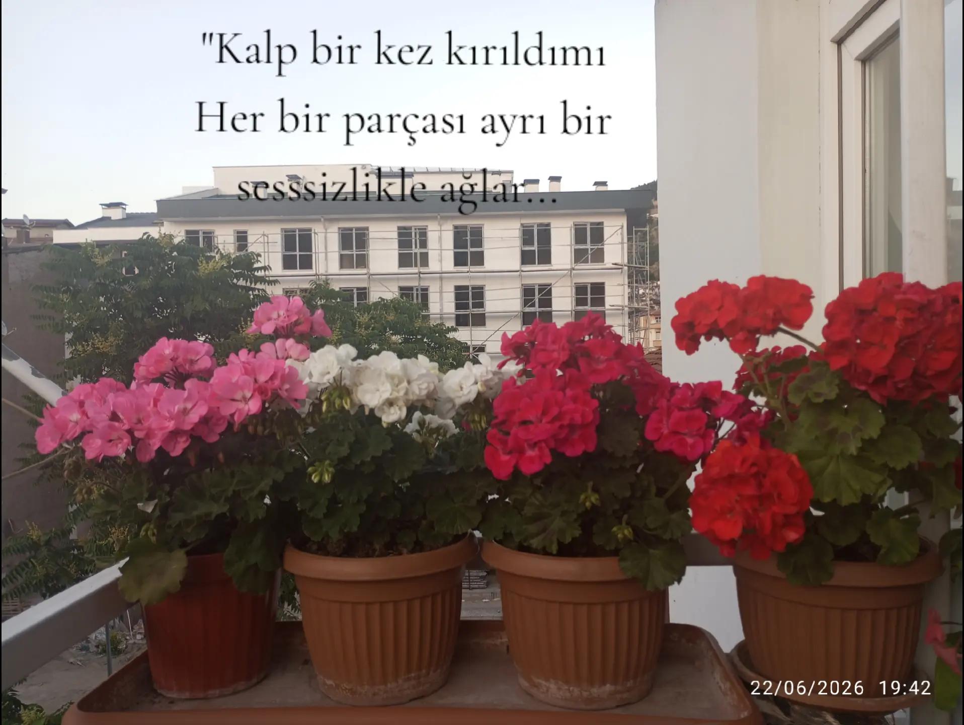 @Zübeyde karakaş 💜💙❤🩵