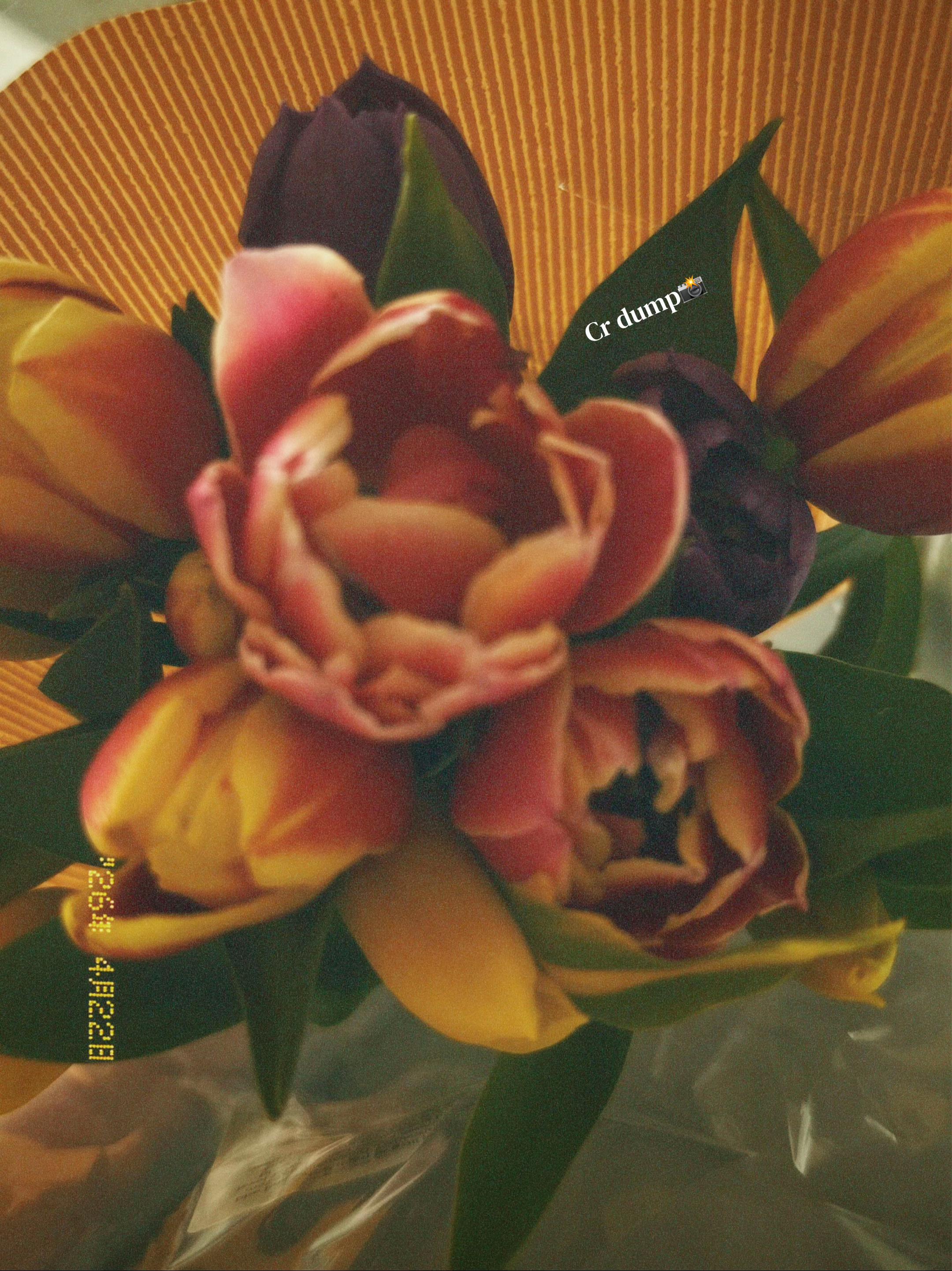 @𝐾𝑖𝑒𝑟𝑎 xx