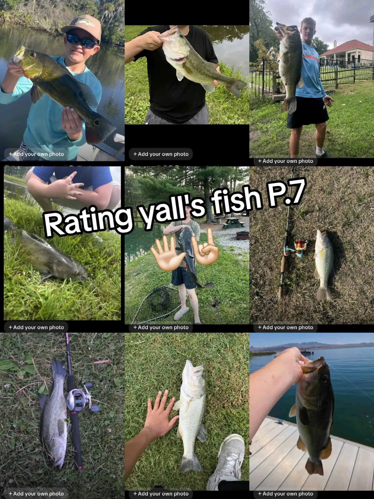 @Boogaman_Fishing