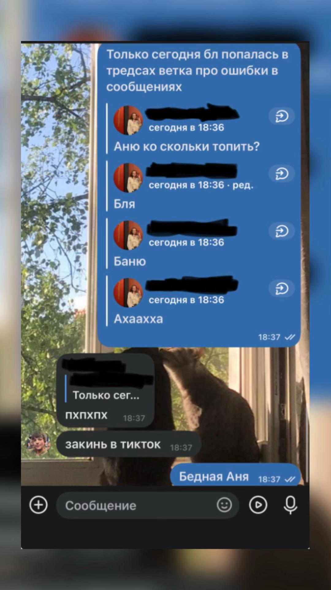 @TPWK ◟̽◞̽