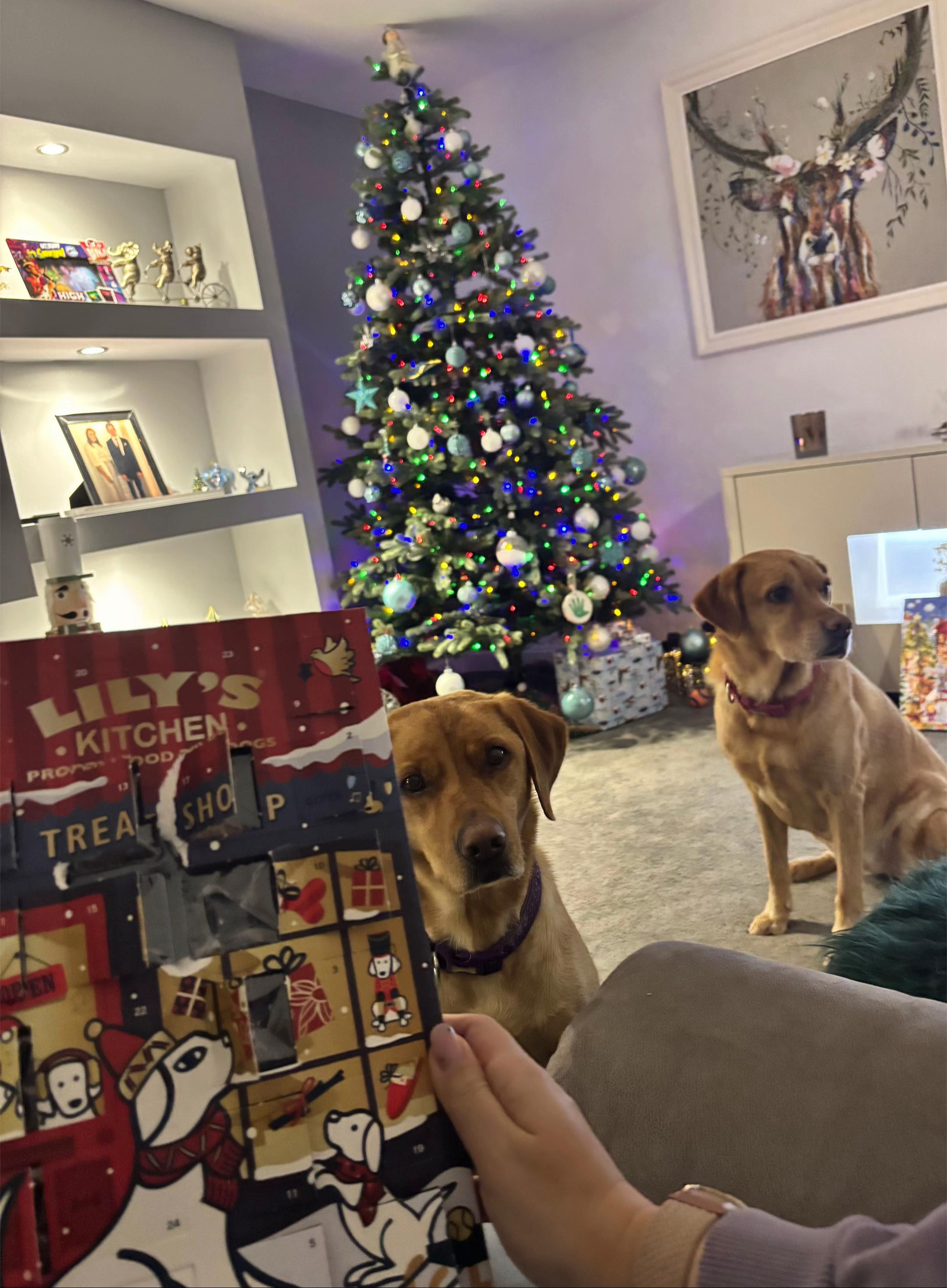 @Goldenwaggytales