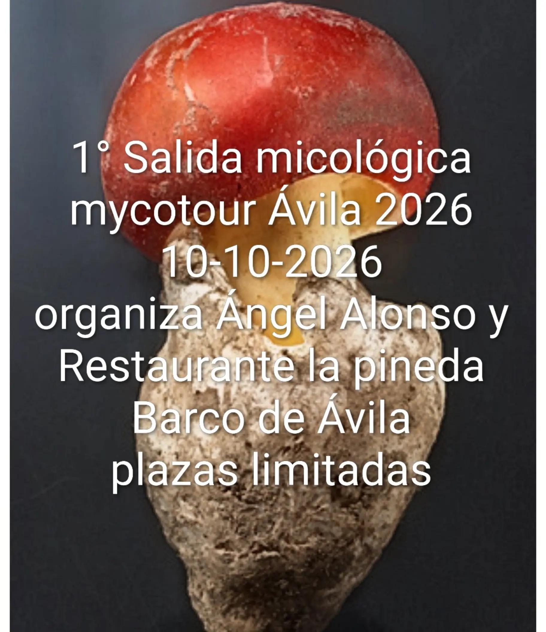 @angel alonso noya